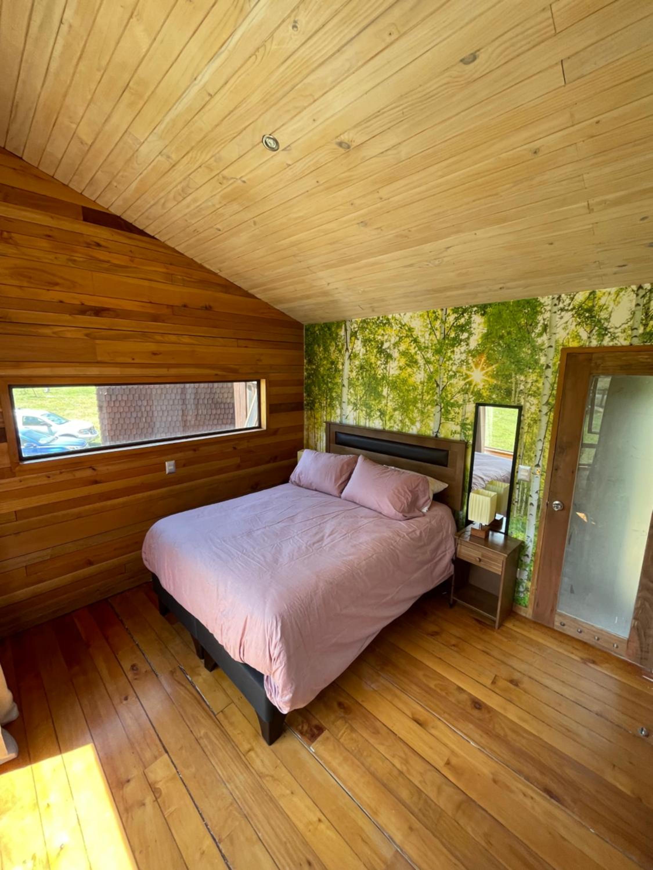 Standard Double Suite photo 1