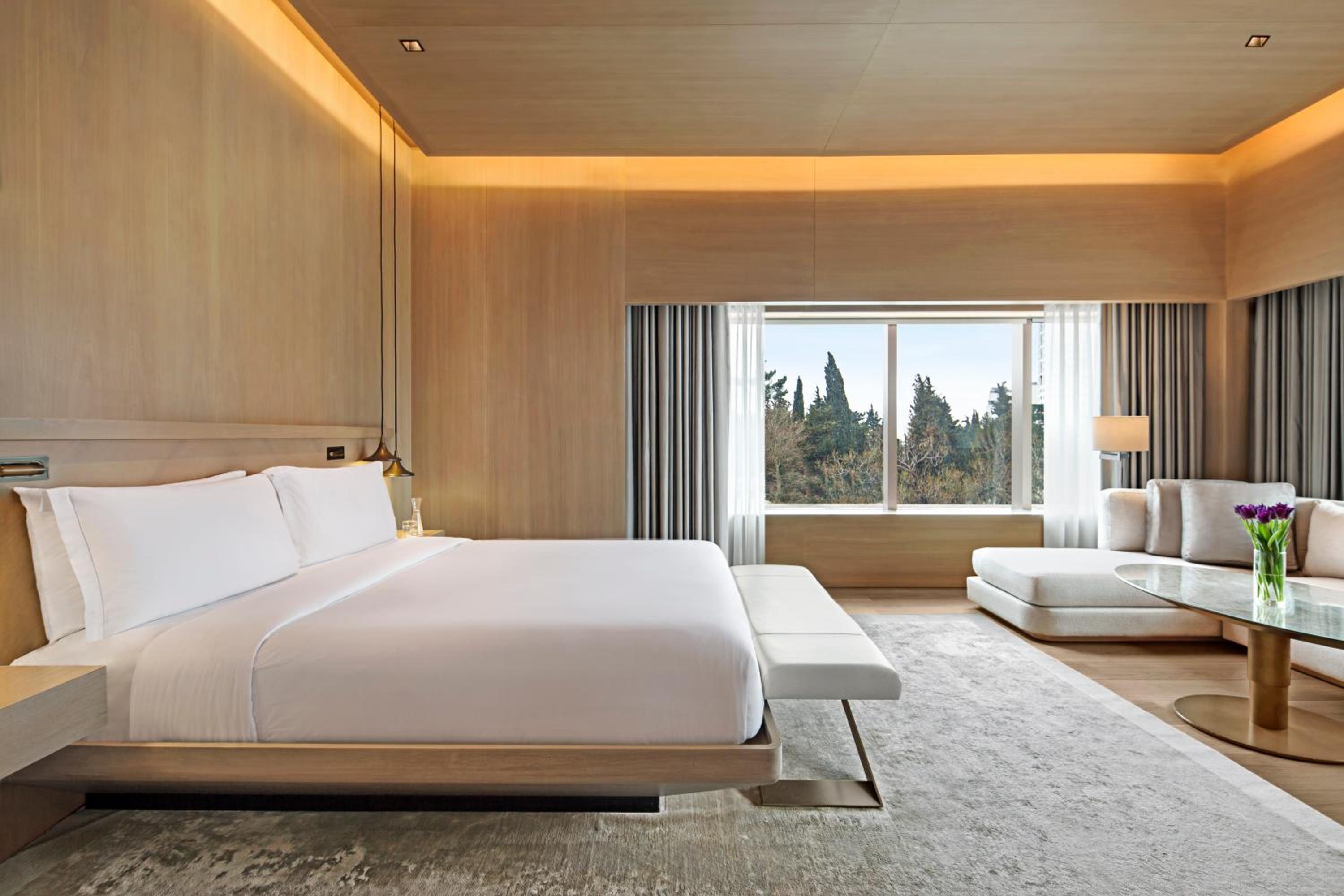 King Suite with Terrace