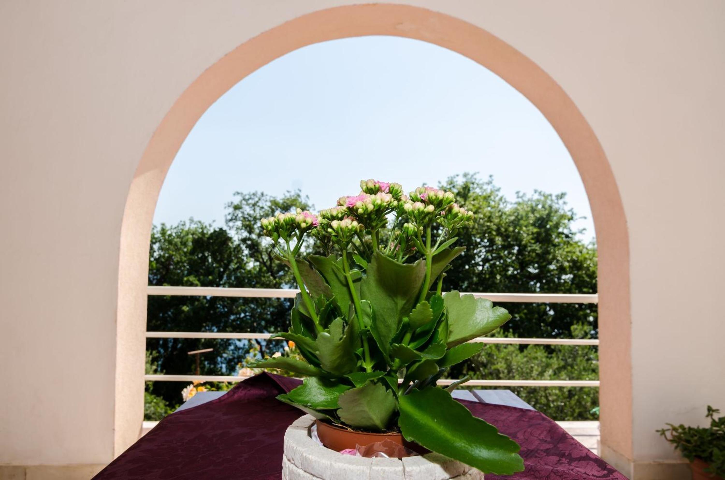 Comfort Studio with Terrace and Sea View (3 Adults) photo 3