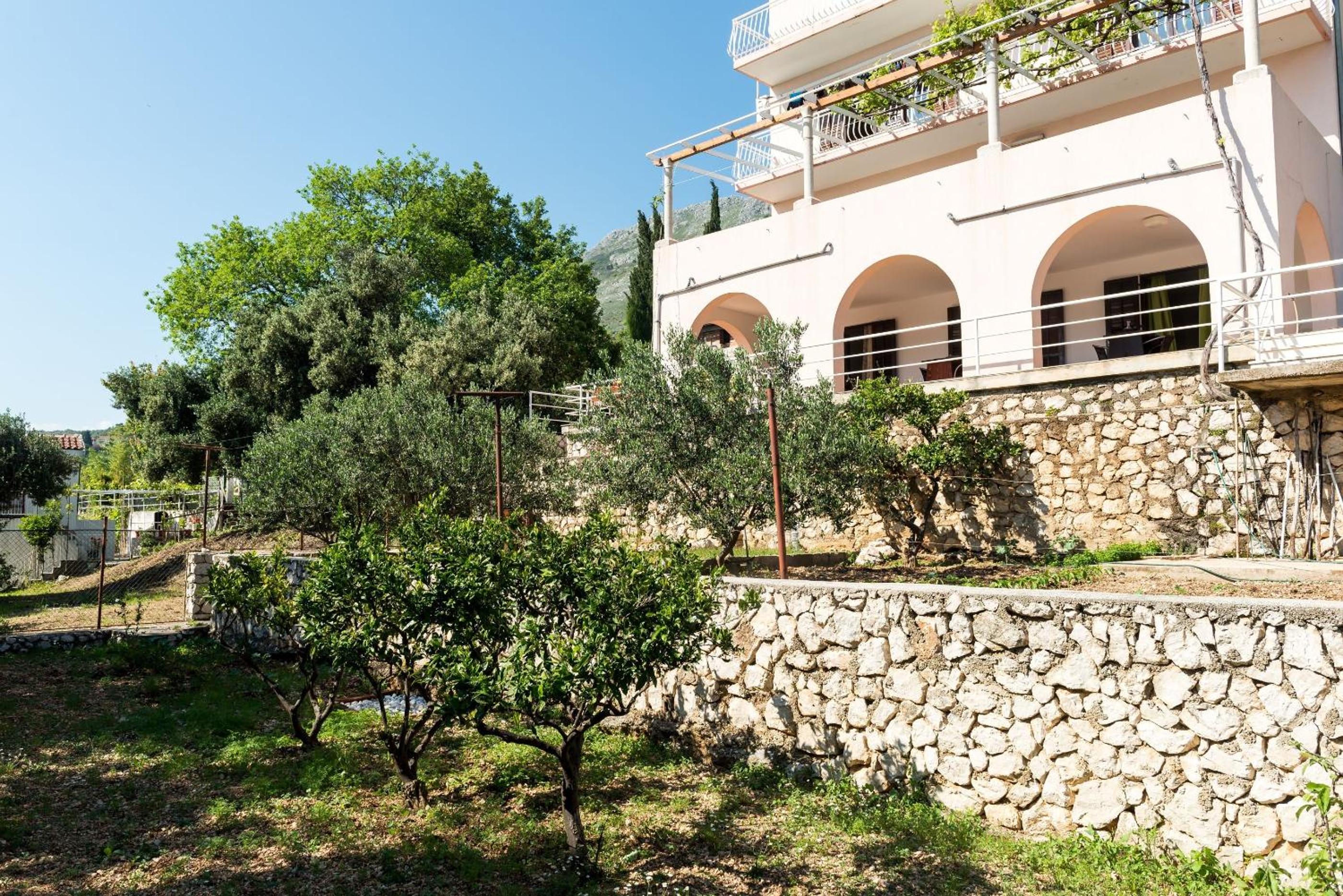 Studio with Terrace and Sea View (2 Adults) photo 2