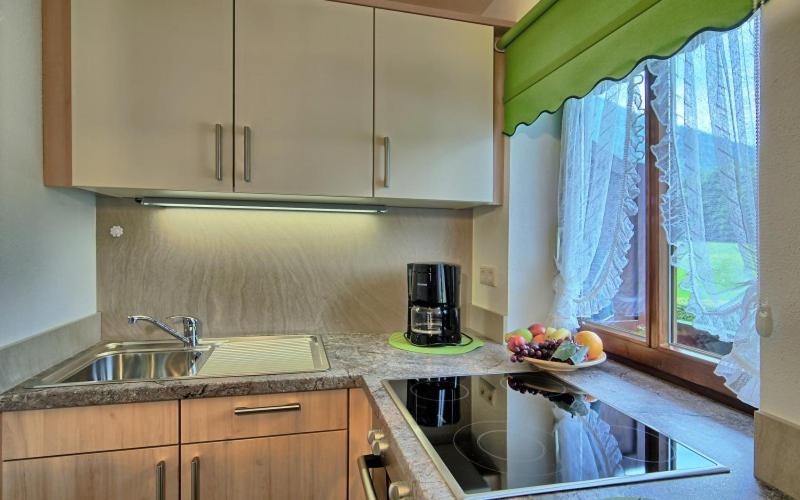 One-Bedroom Apartment with Balcony and Mountain View   photo 3