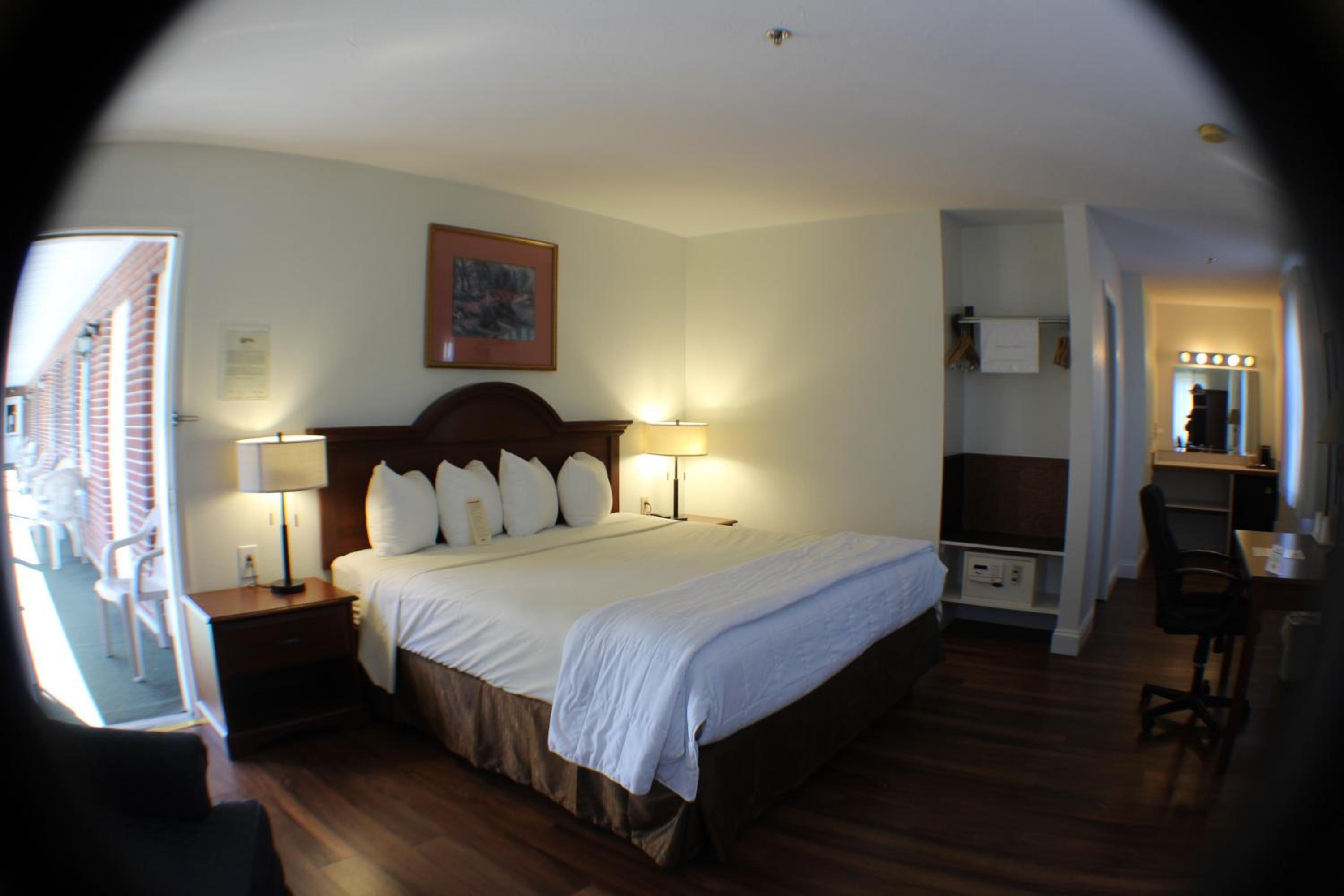 King Room- Pet Friendly - Photo 1