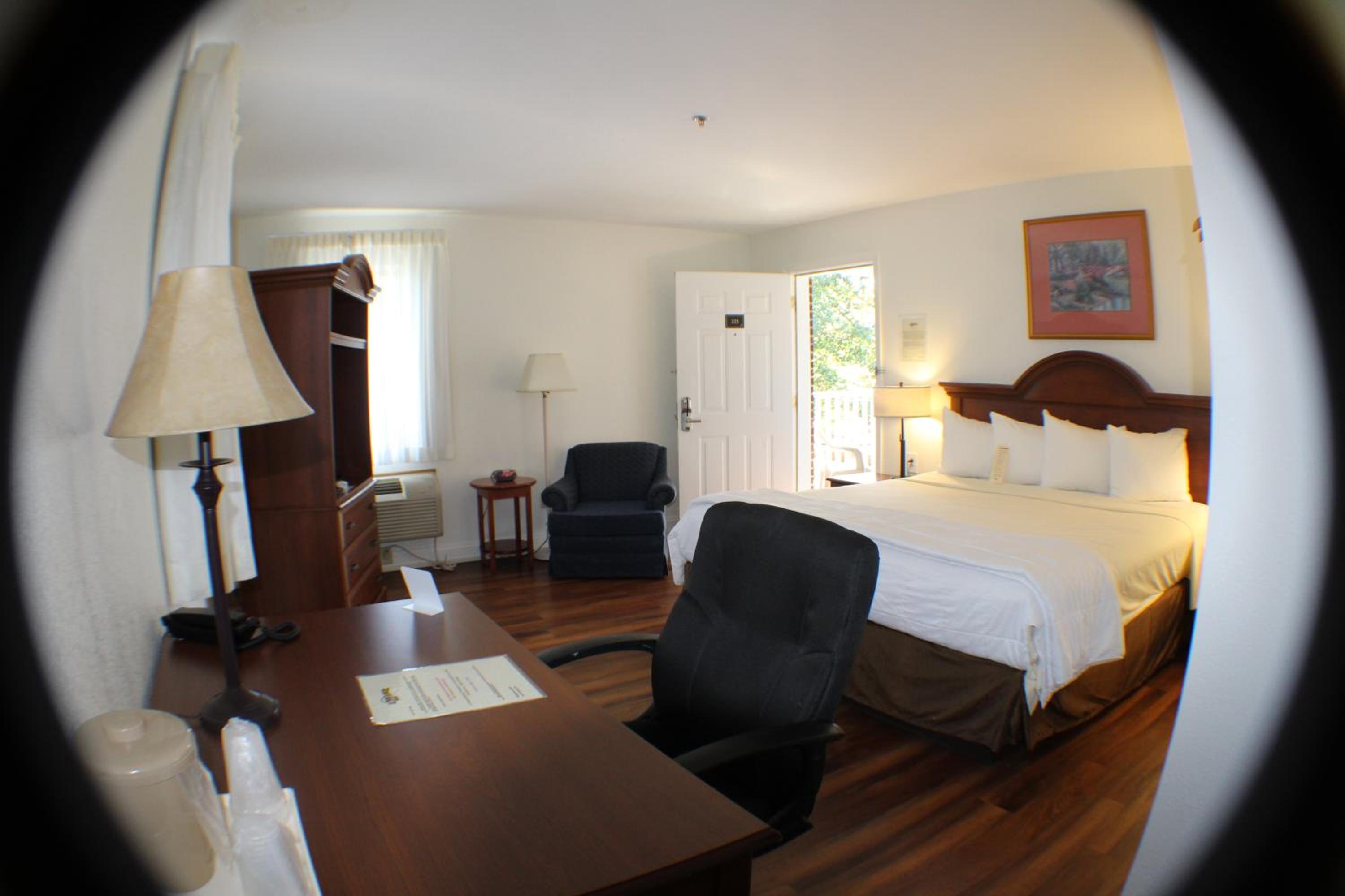 King Room- Pet Friendly - Photo 4
