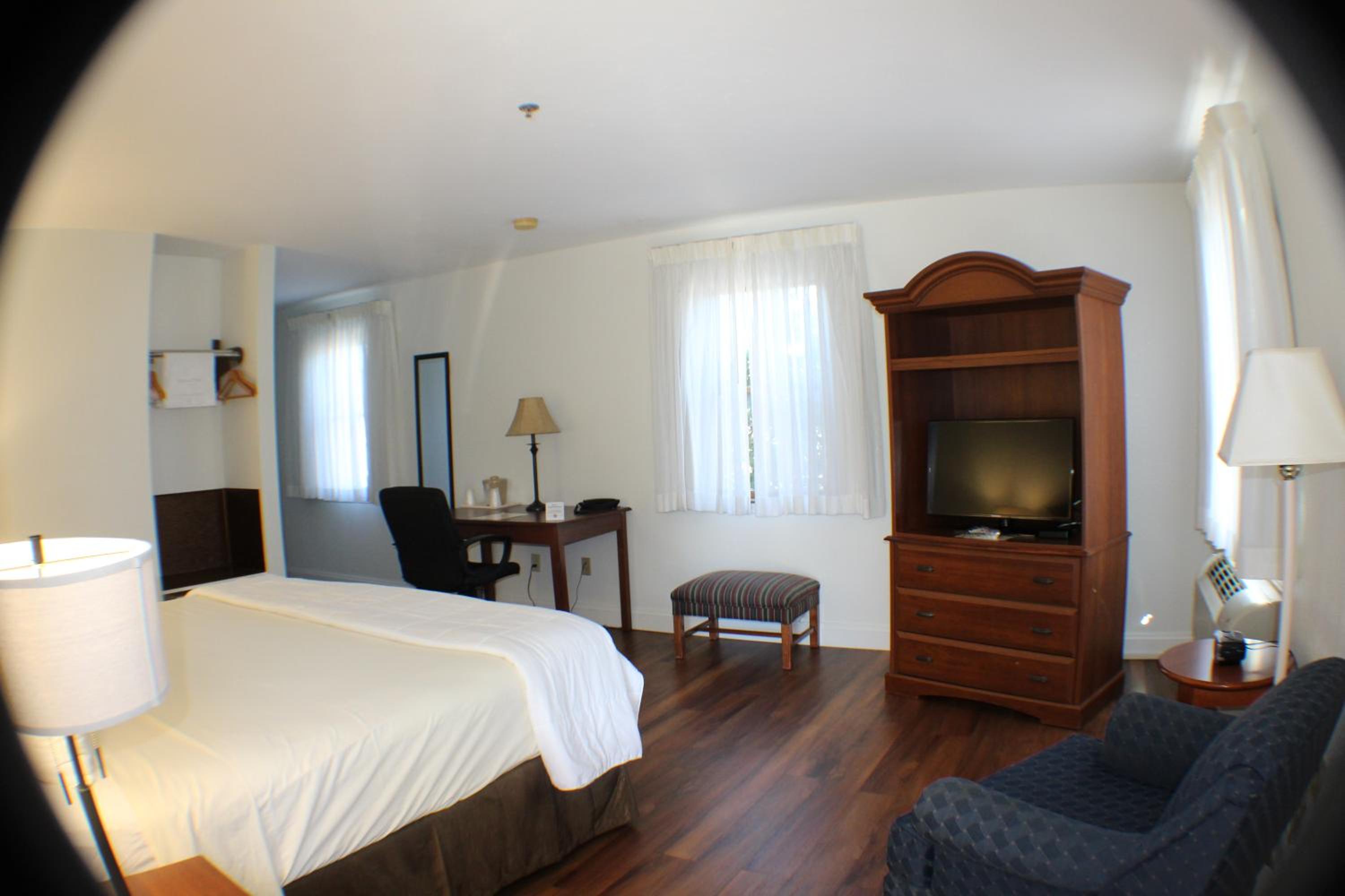 King Room- Pet Friendly - Photo 2