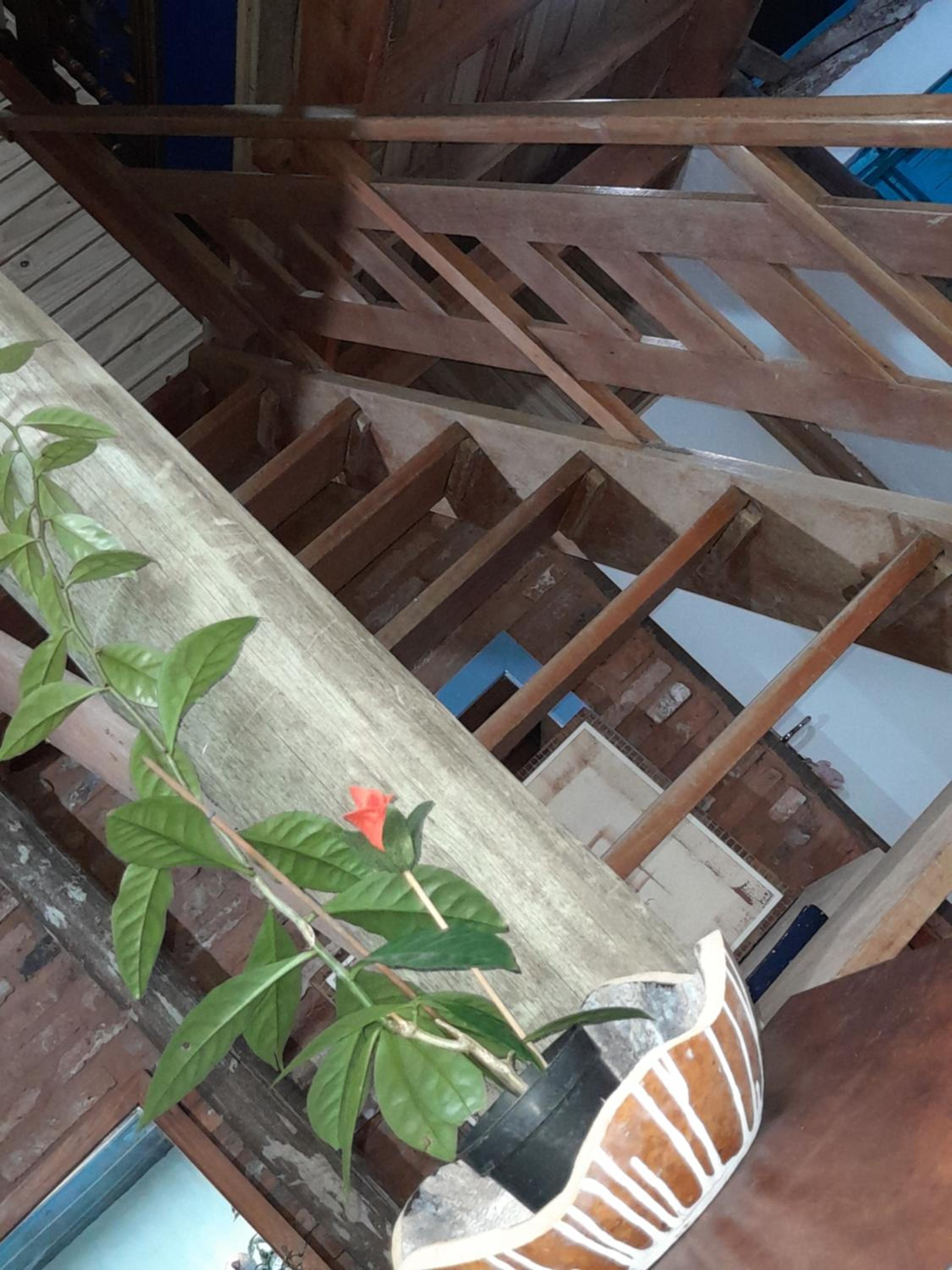 Suite with Garden View photo 1