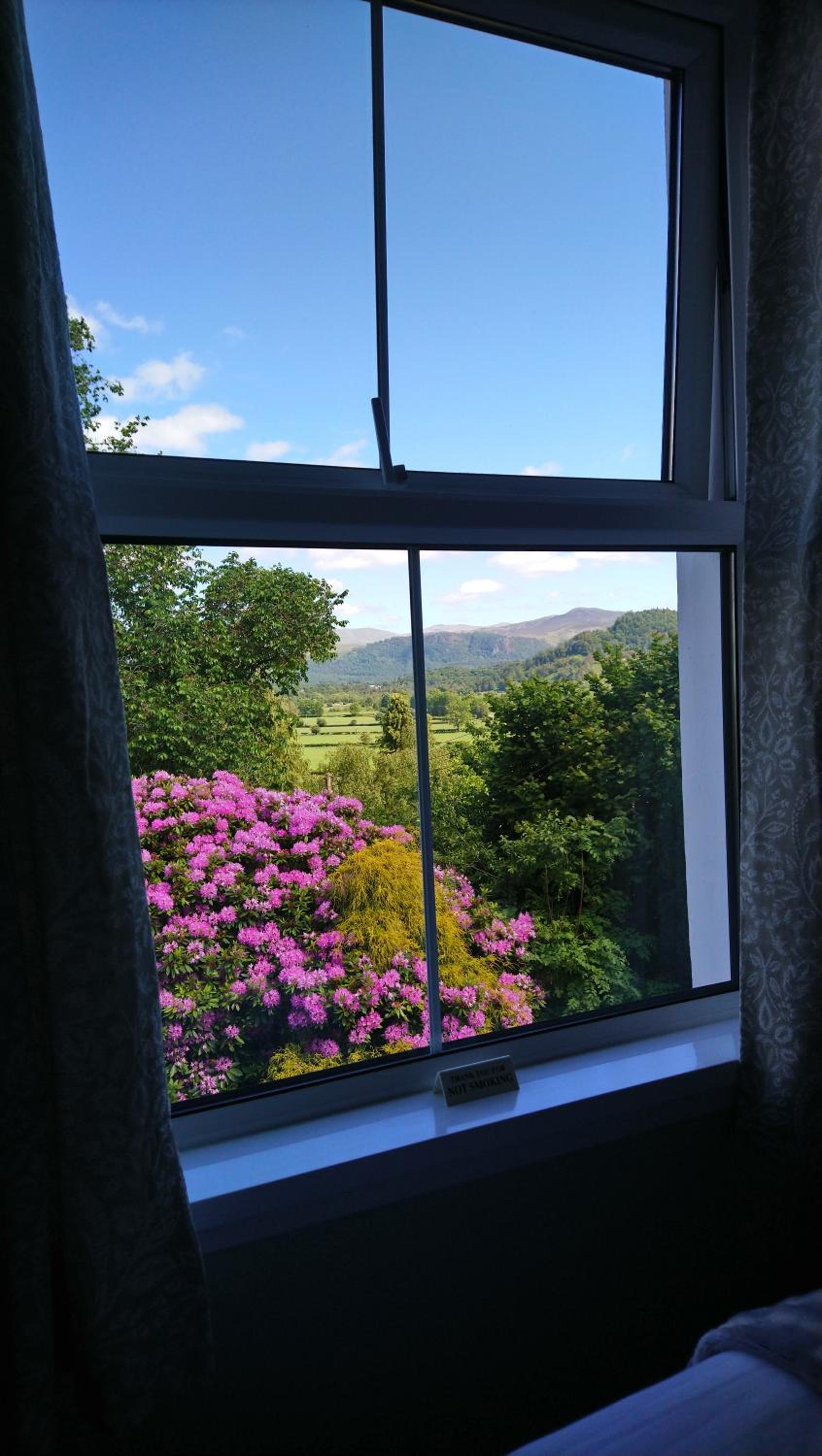 Cozy Double Room with Mountain View photo 2