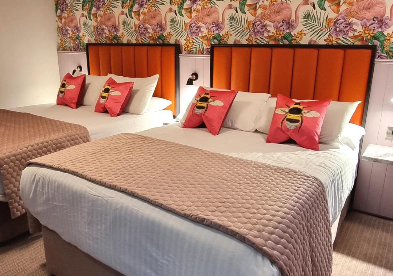 Superior Twin Room photo 1