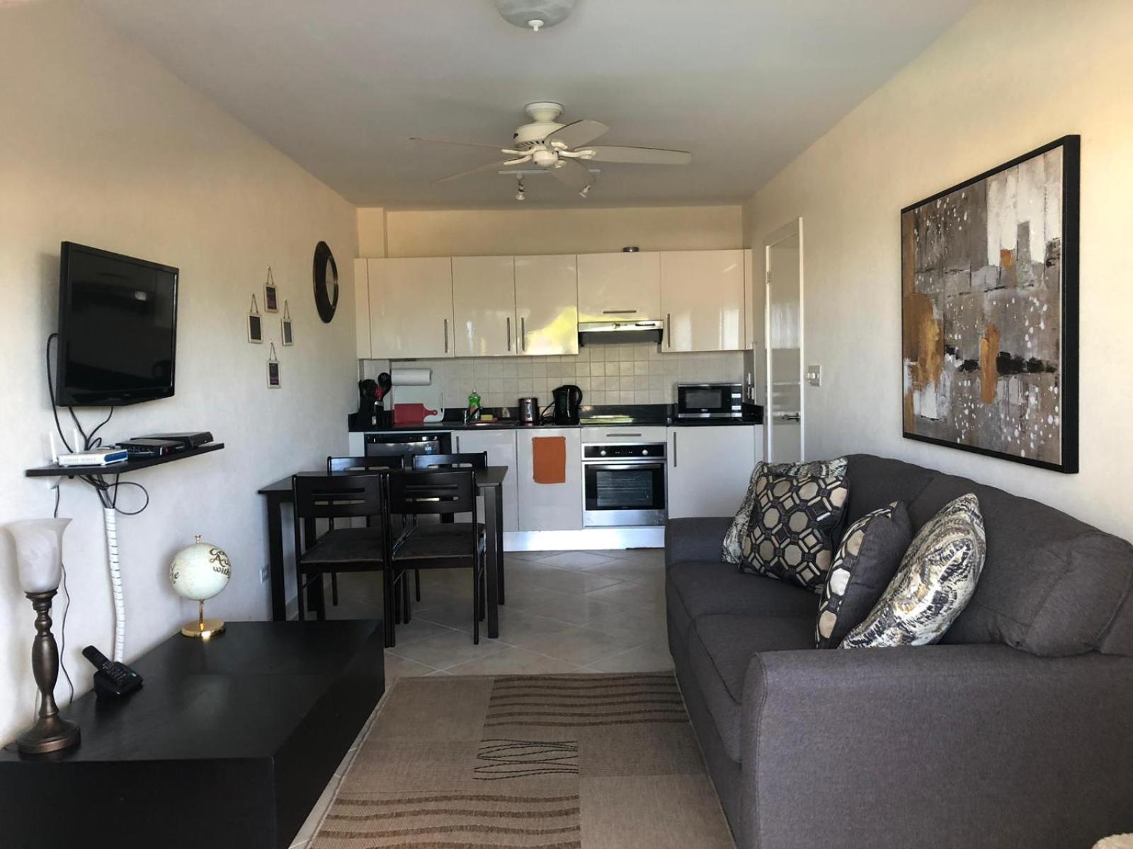 Deluxe One-Bedroom Apartment