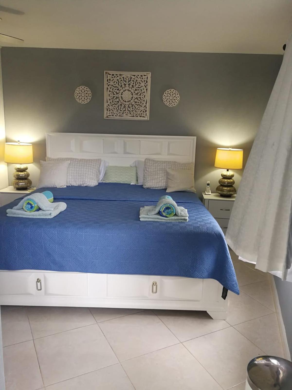 Deluxe Two-Bedroom Apartment