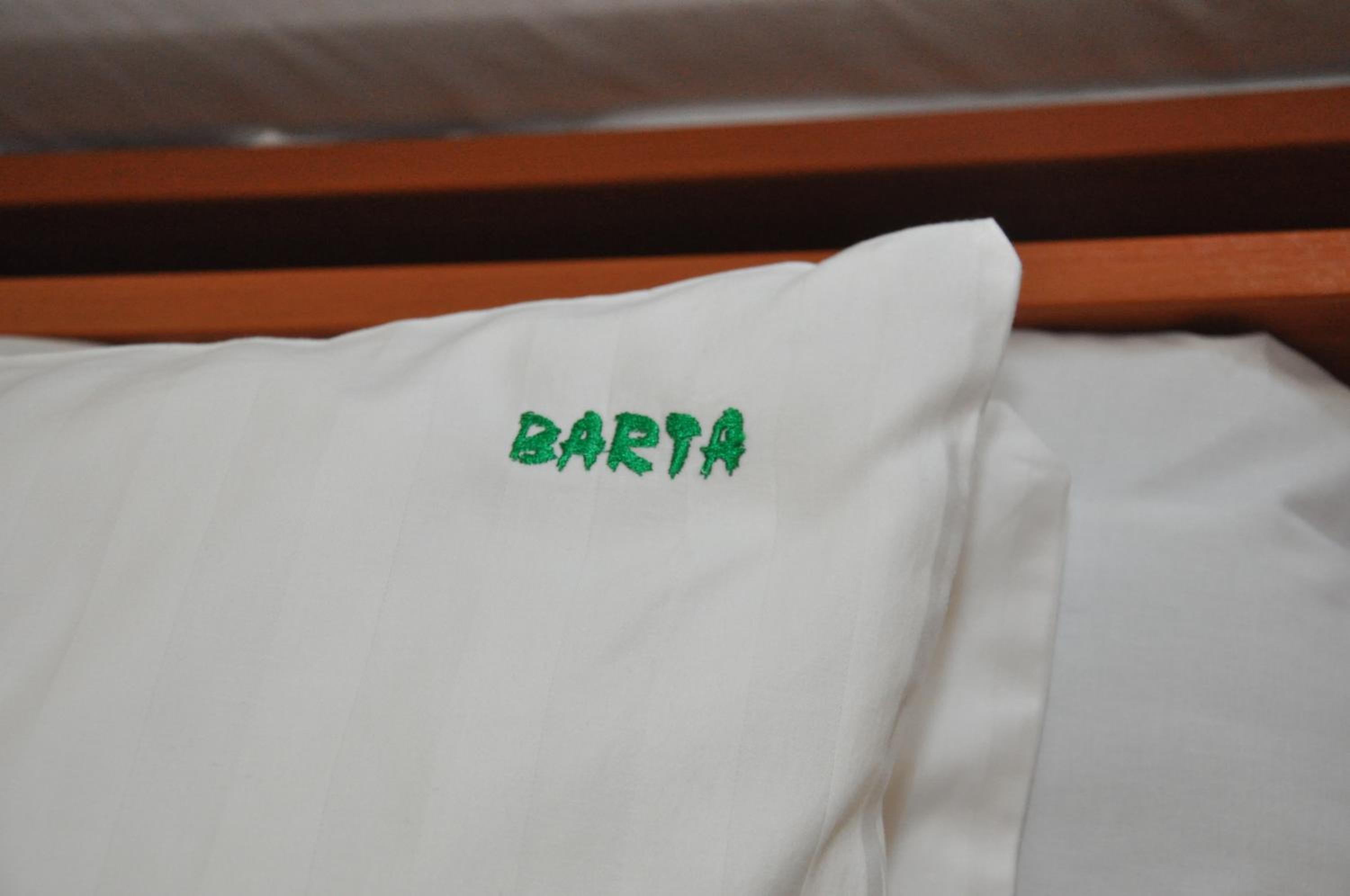 Double or Twin Room with Terrace photo 3
