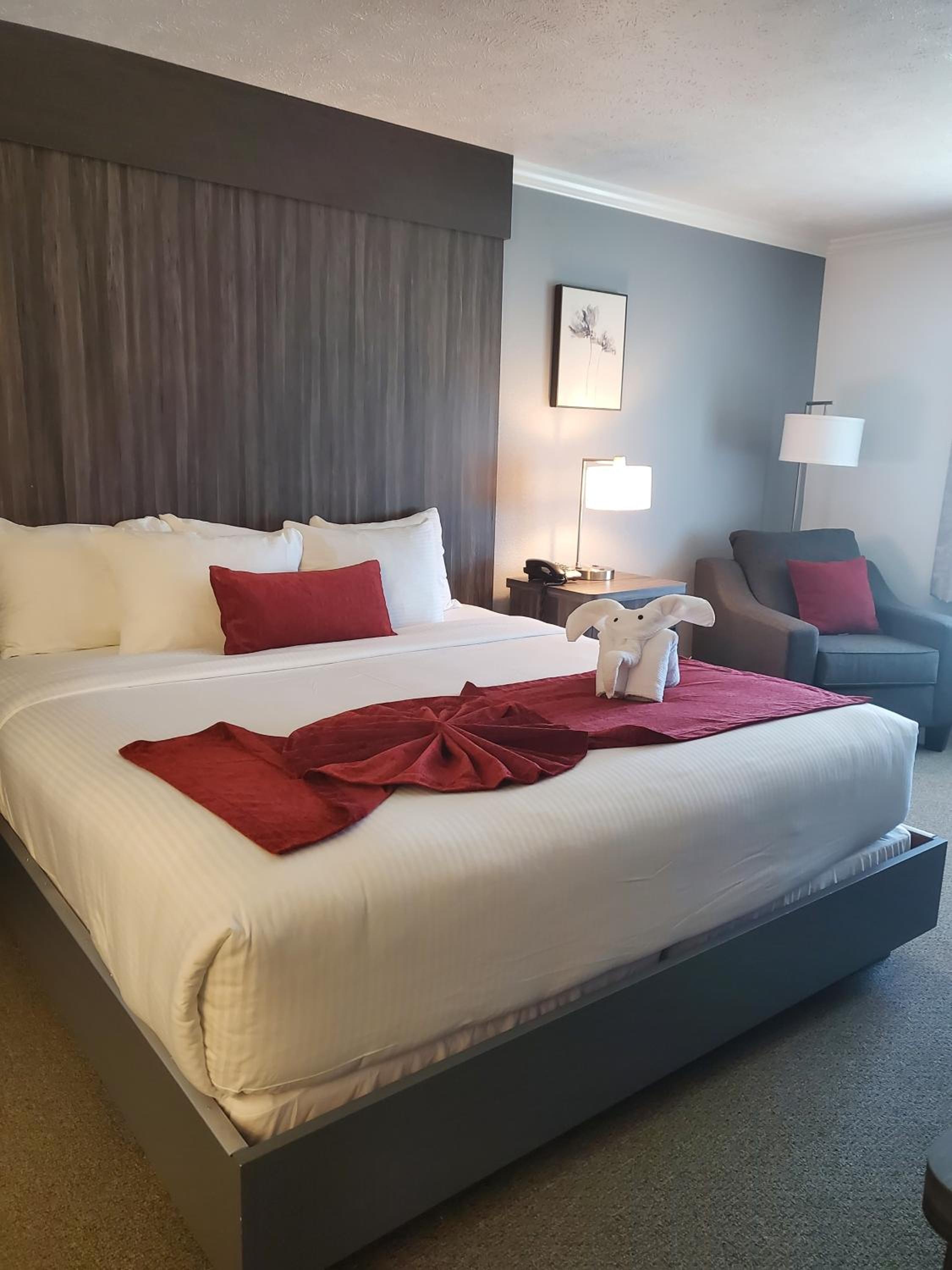 King Room photo 2