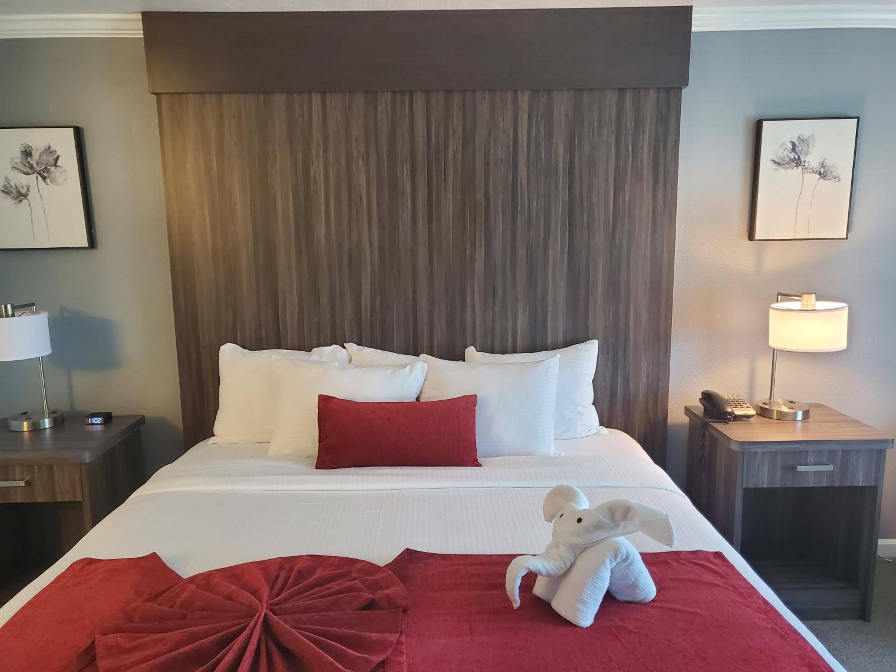 Executive Suite photo 1