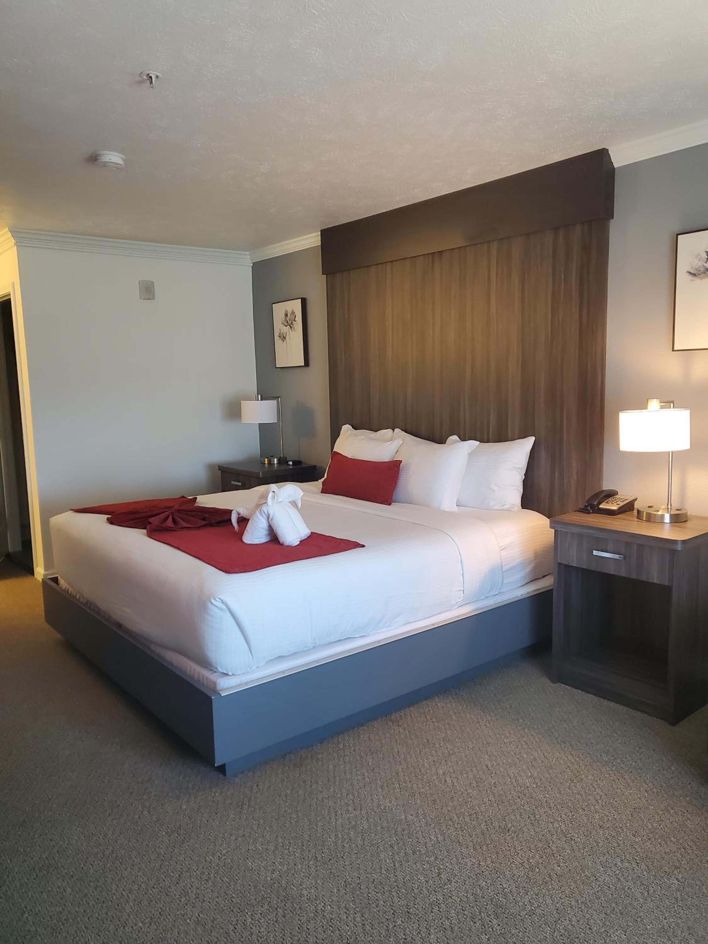 King Room photo 1
