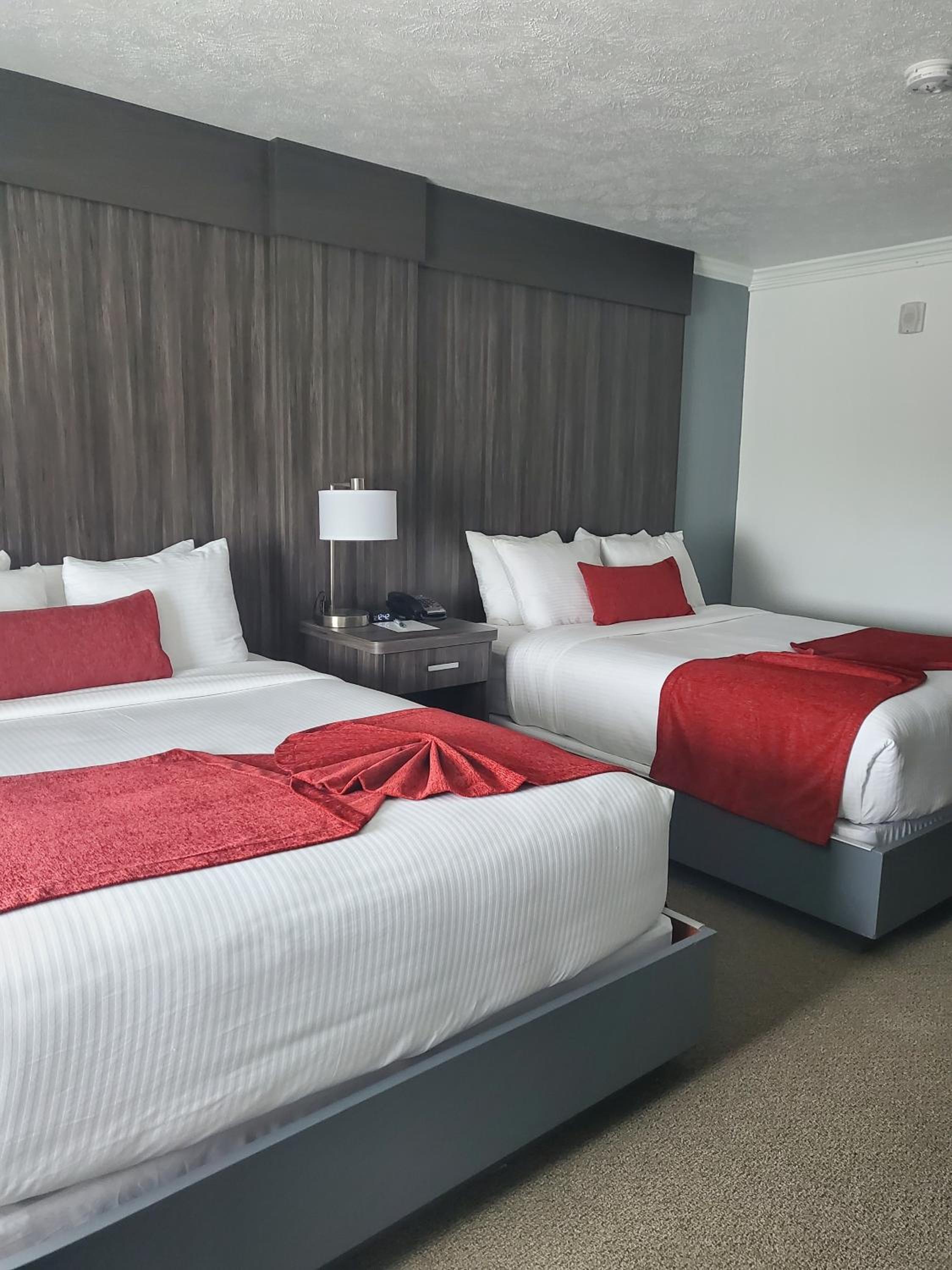 Queen Room with Two Queen Beds photo 1
