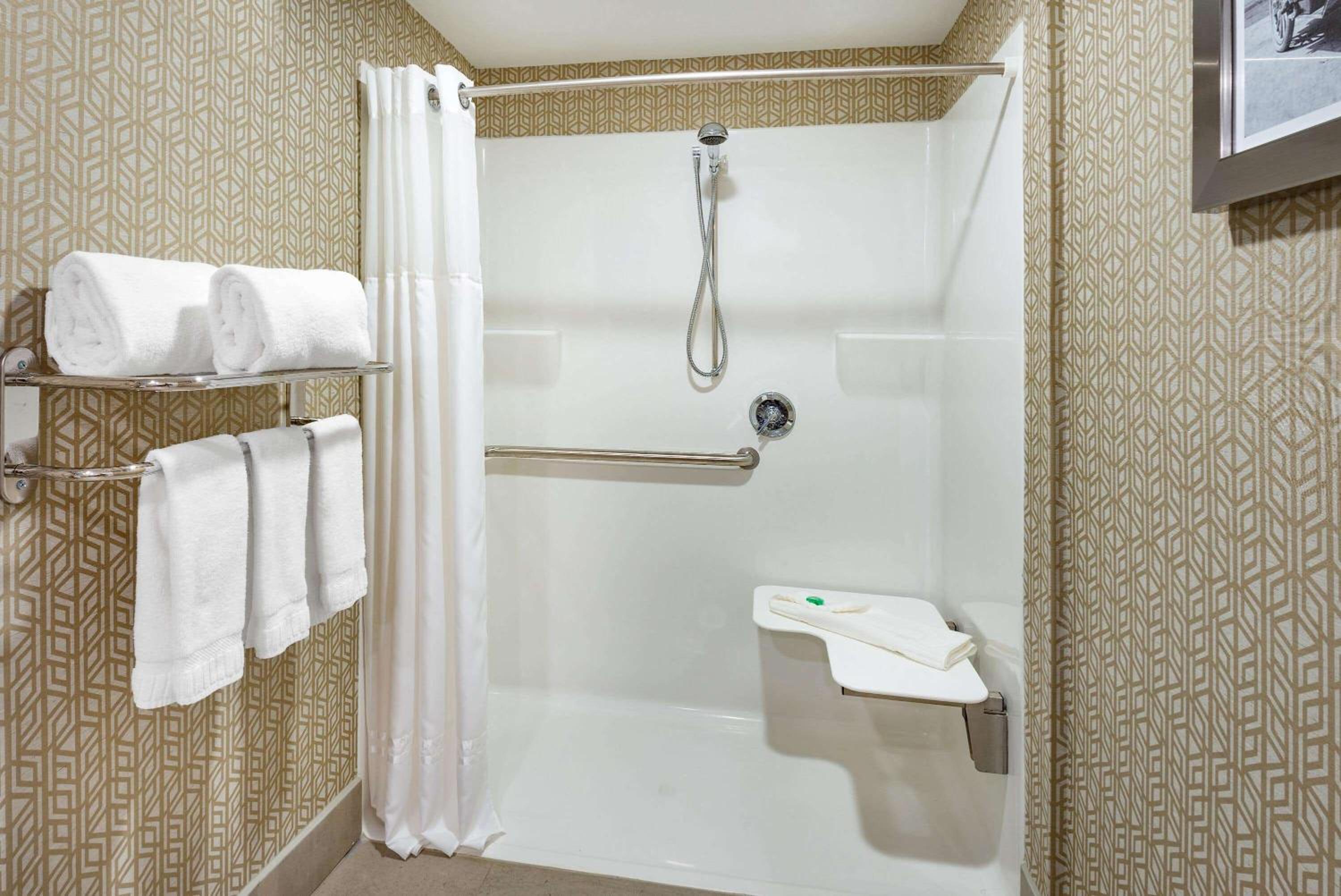 1 King Bed, Deluxe One-Bedroom Mobility Access Suite, Roll-In Shower, No Smoking