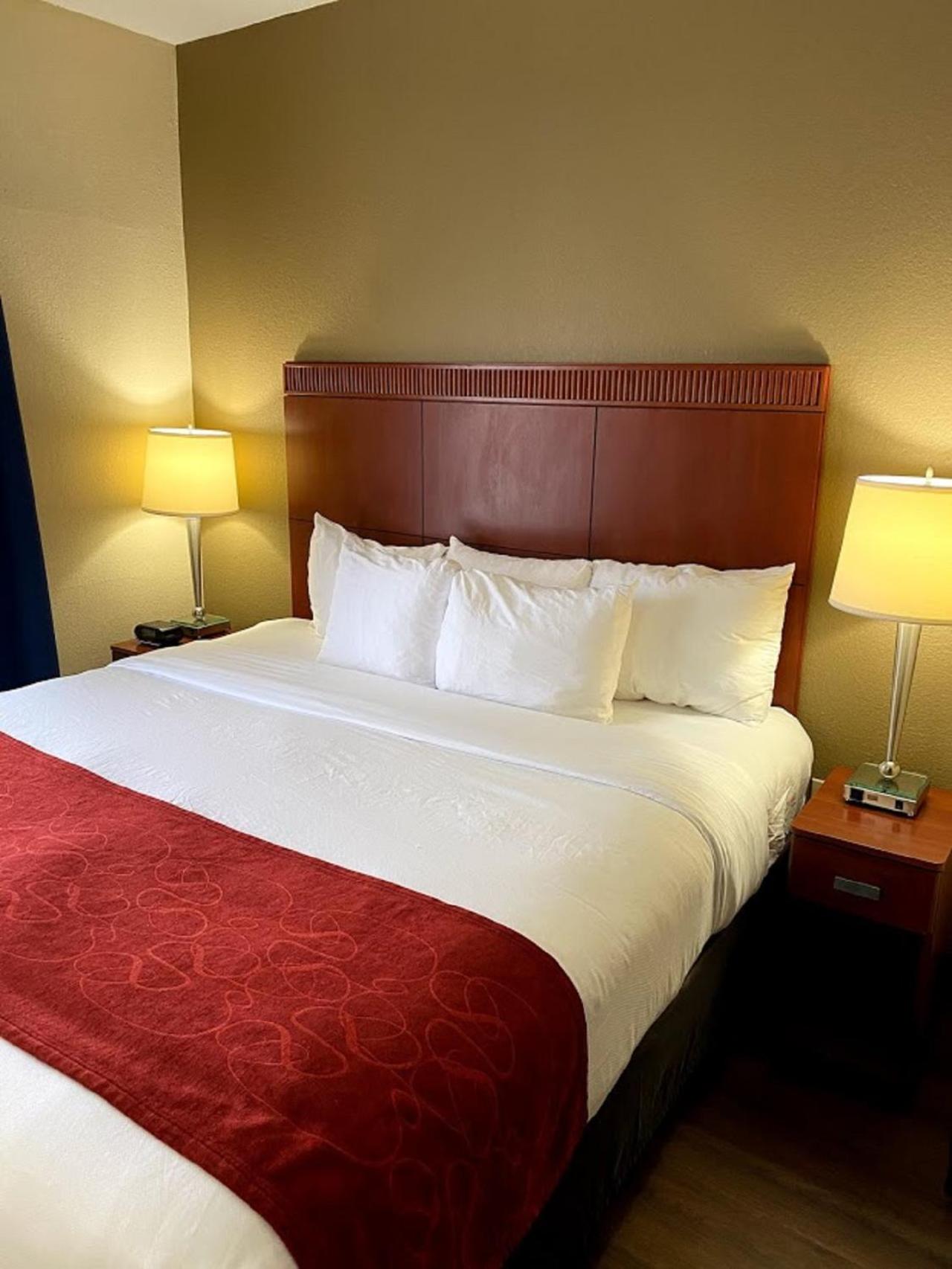 King Suite with Sofa-Bed - Non-Smoking/Pets Friendly - Photo 4