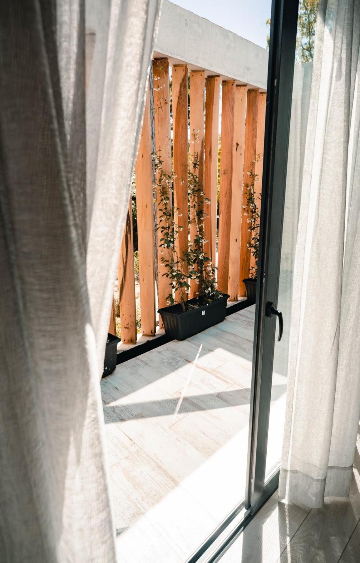 Studio with Terrace photo 3