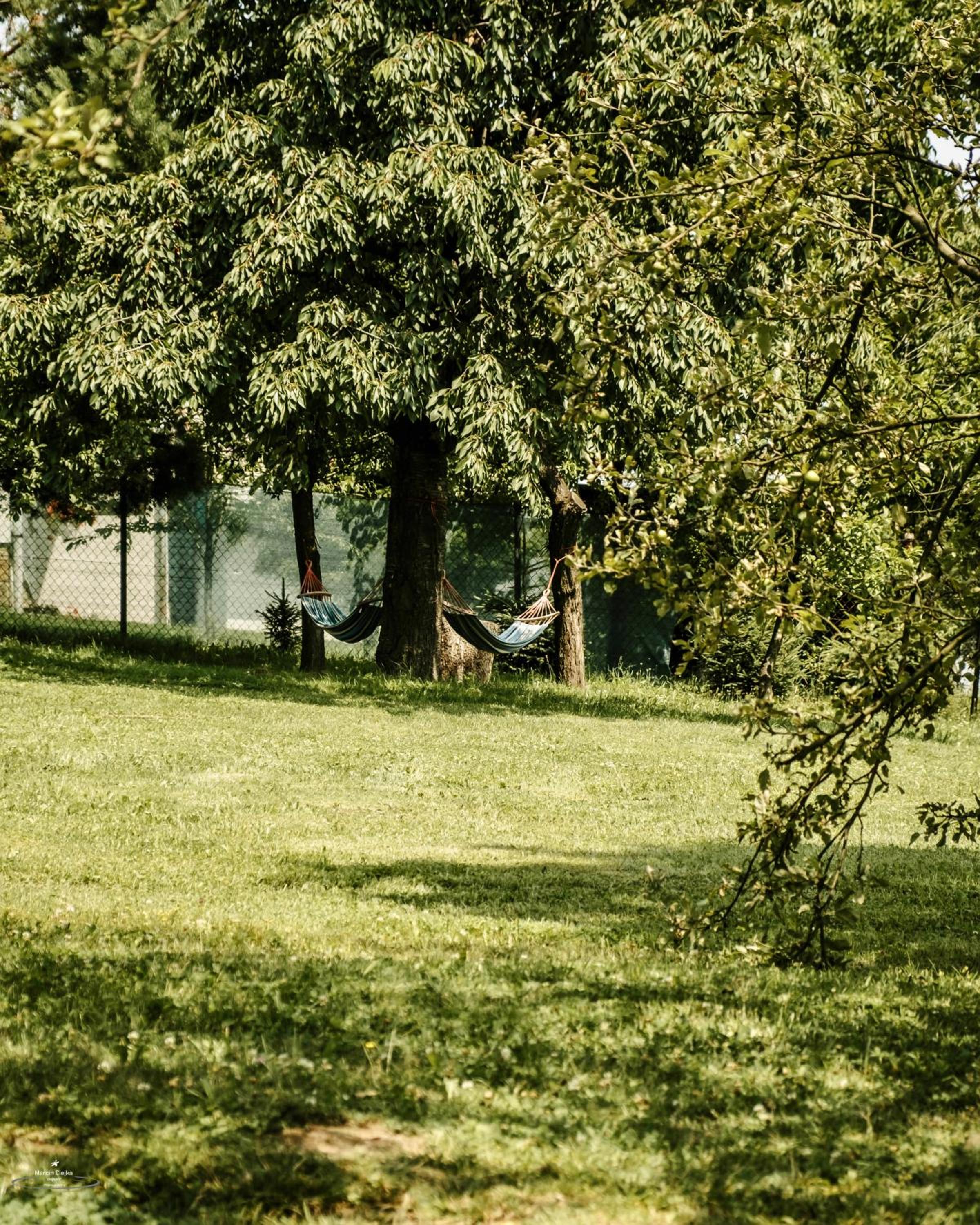 Vacation Home - Photo 15