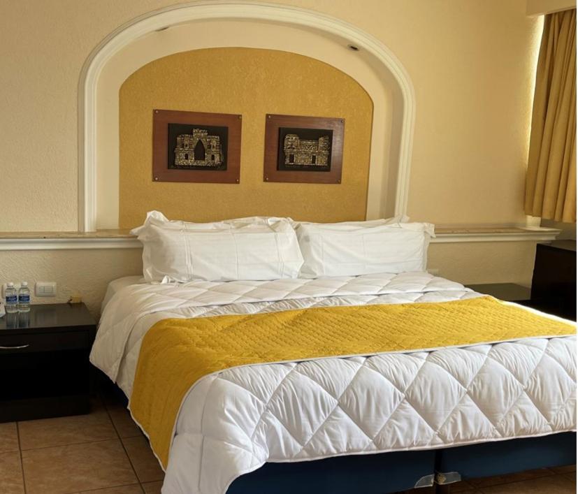 Suite - Photo 1