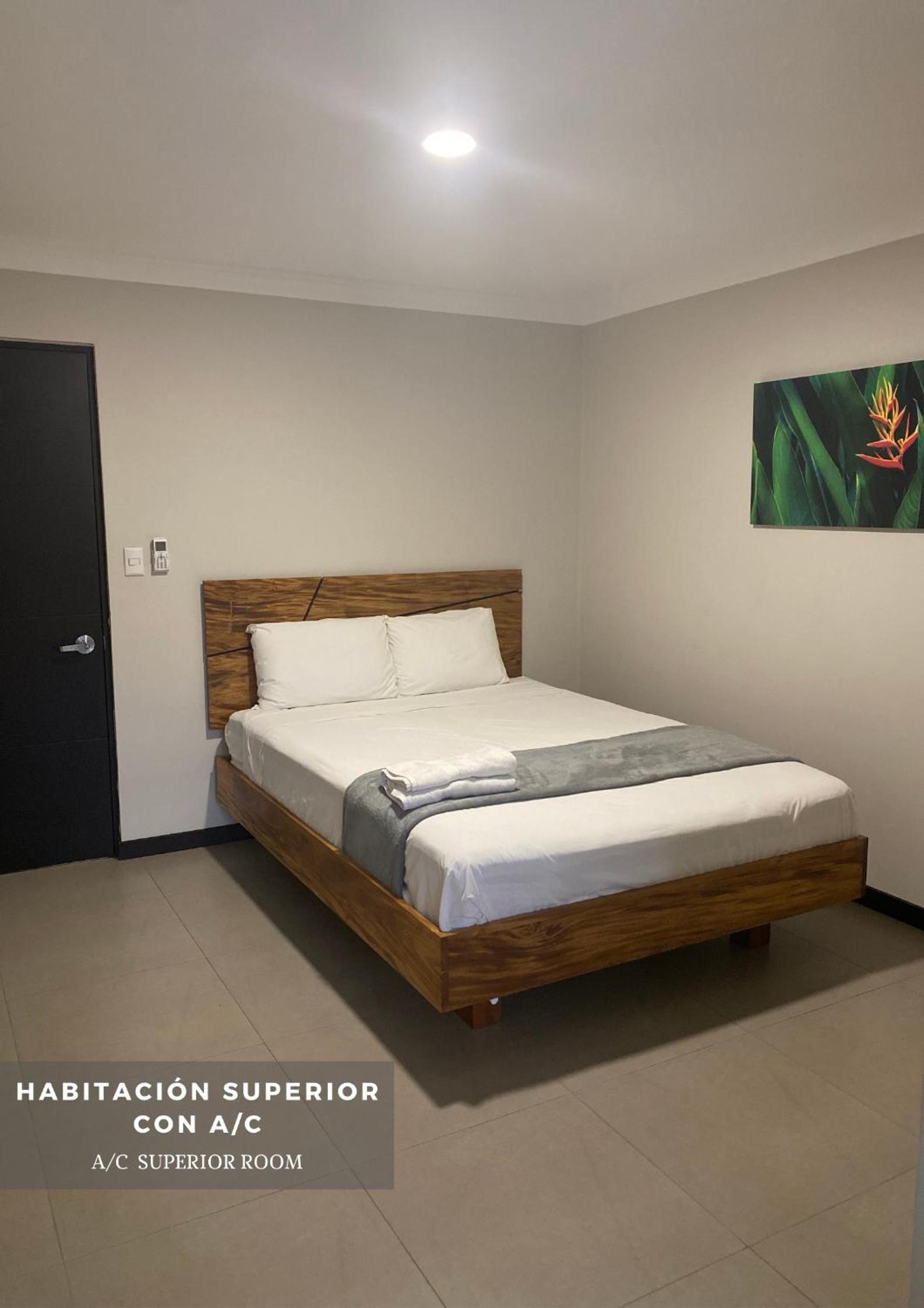 Superior Queen Room photo 1