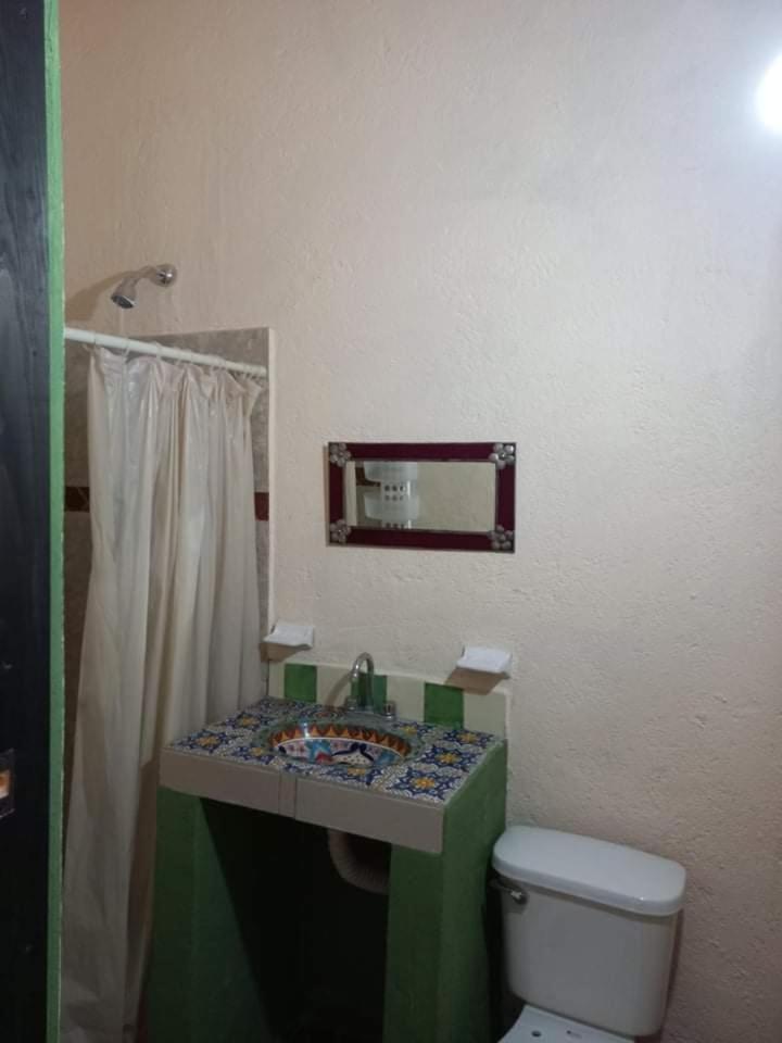 Single Room photo 2