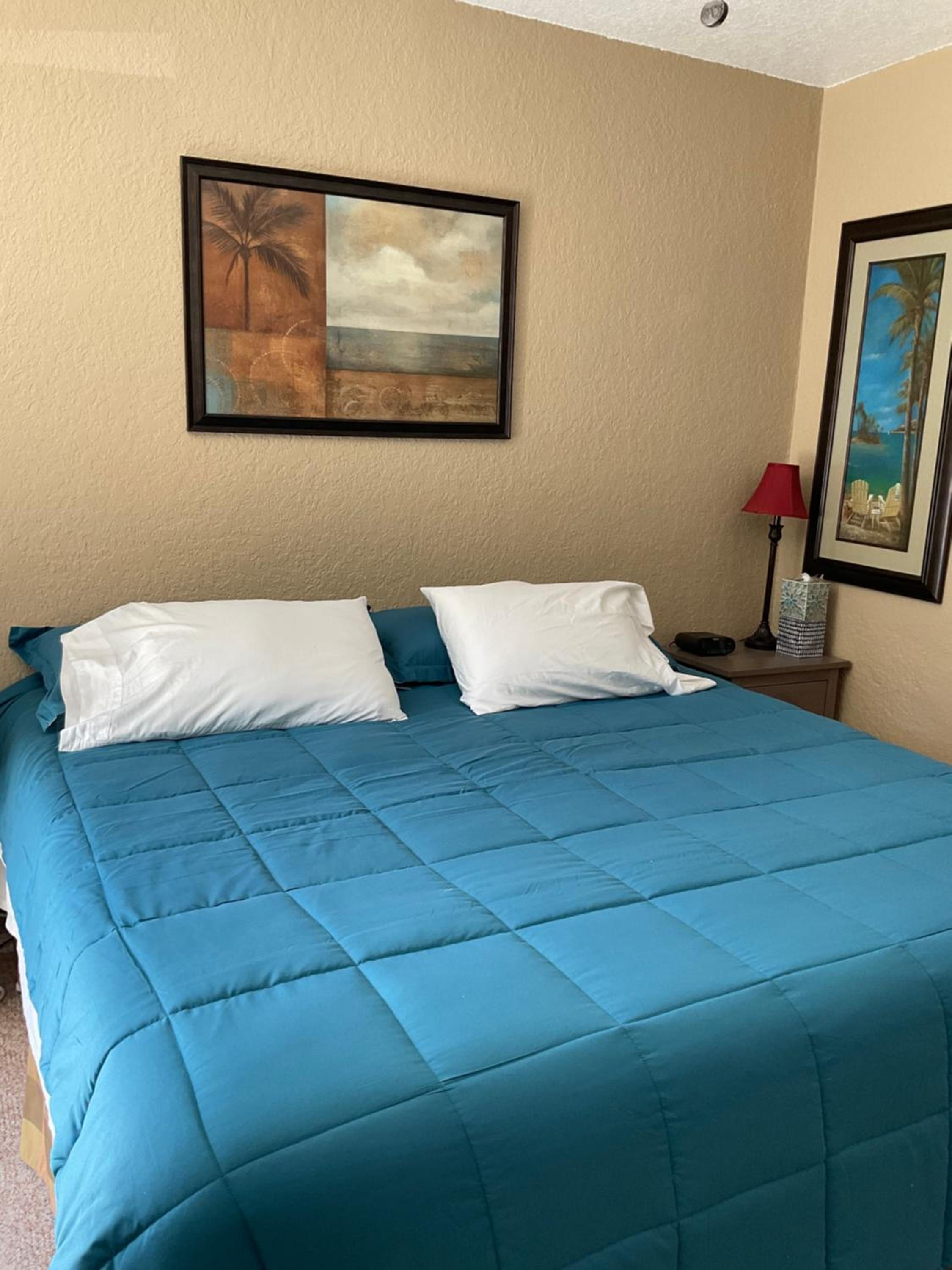 Deluxe King Suite - Photo 1