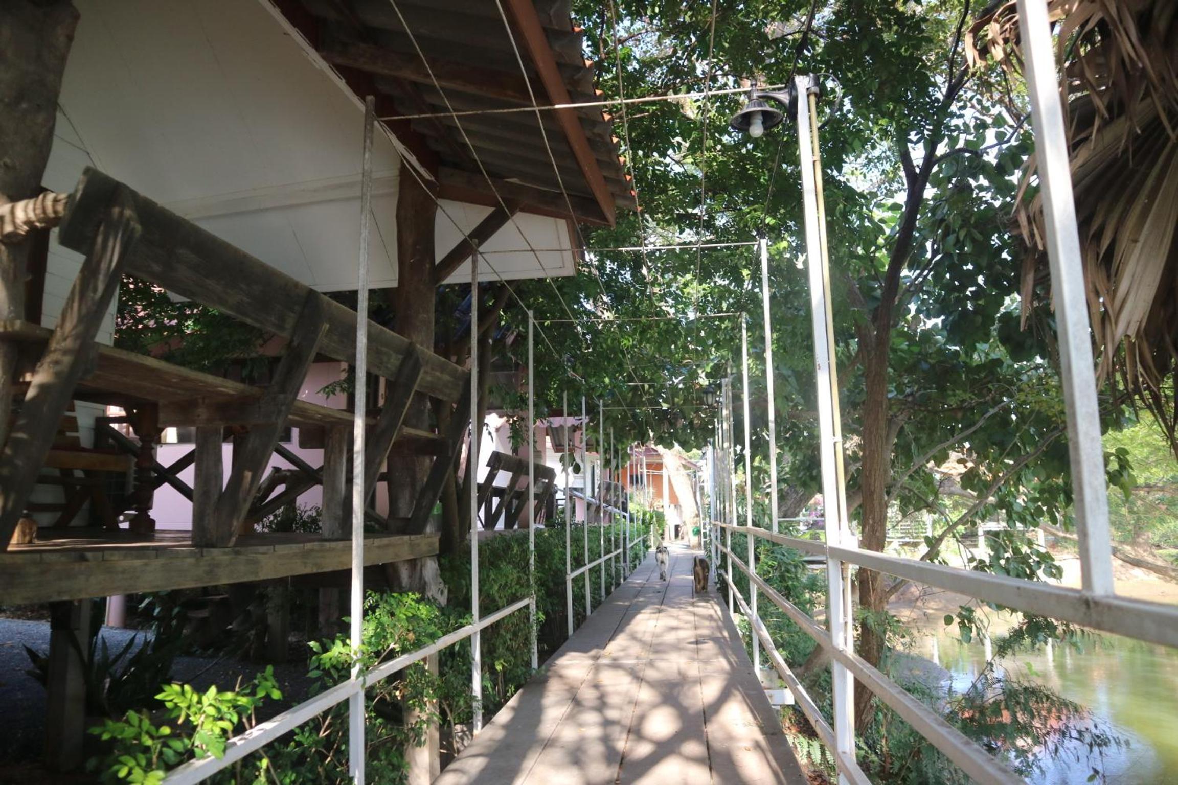 Bungalow - Water Front  - Photo 2
