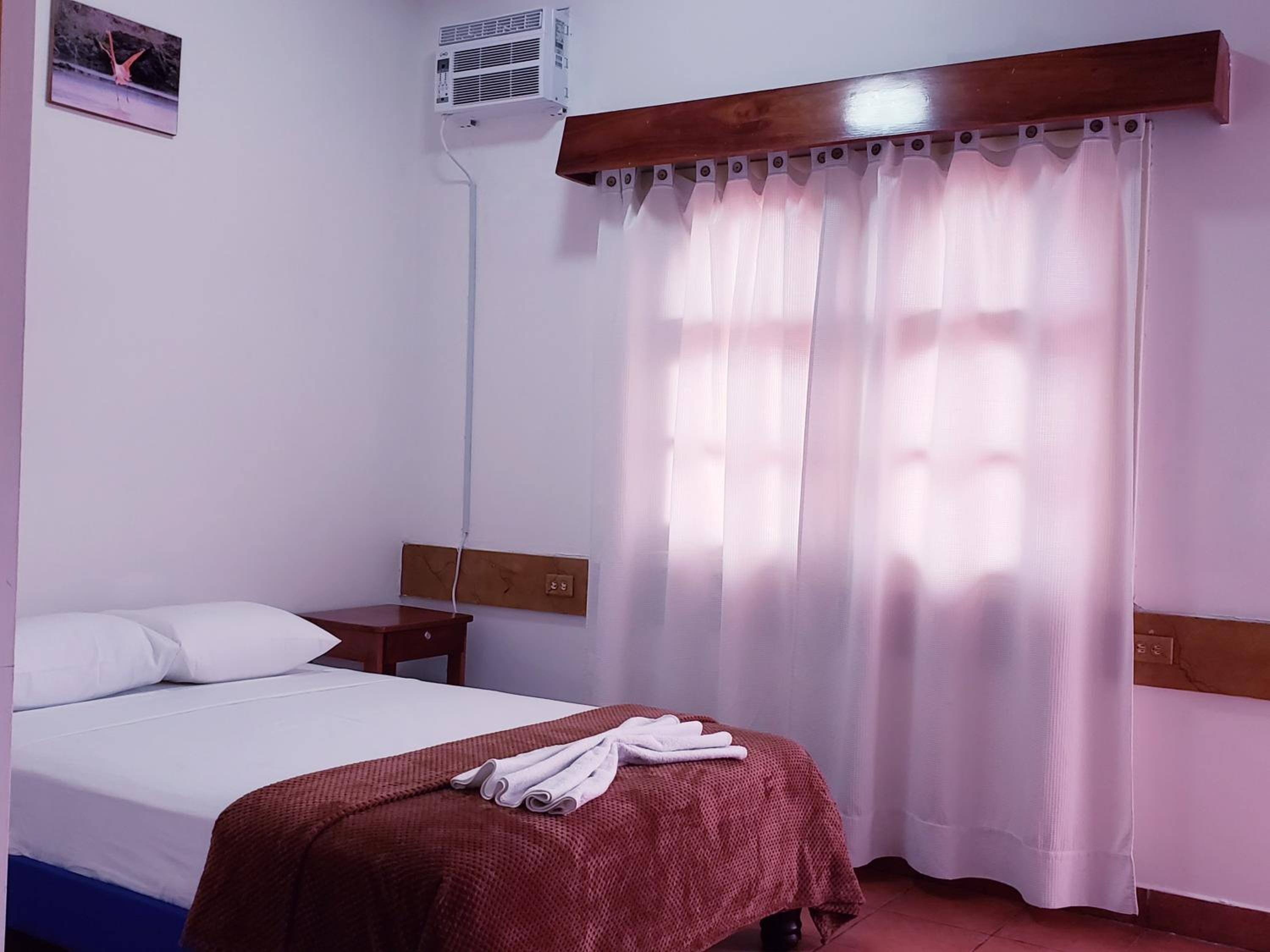 Large Single Room photo 3