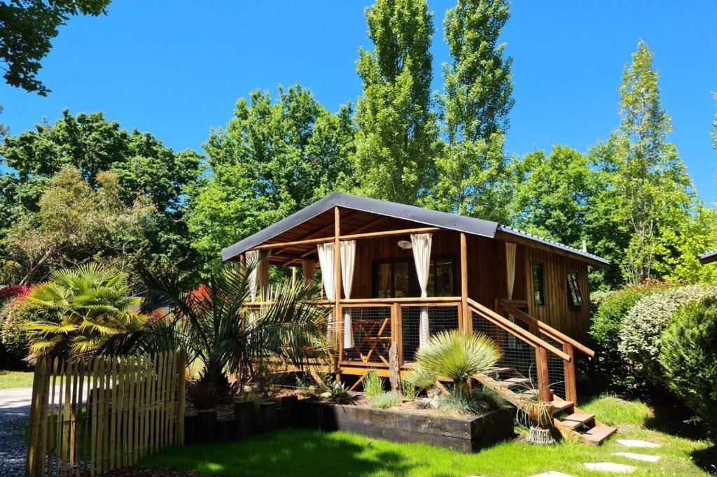 One-Bedroom Chalet photo 3