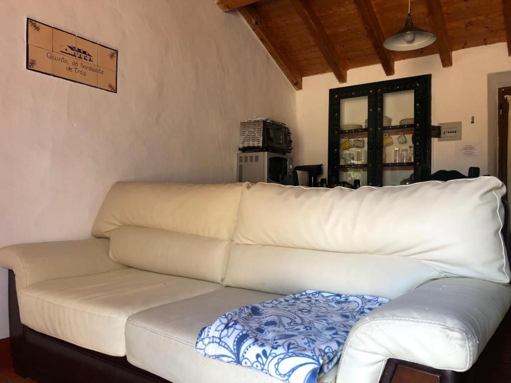 One-Bedroom House photo 2