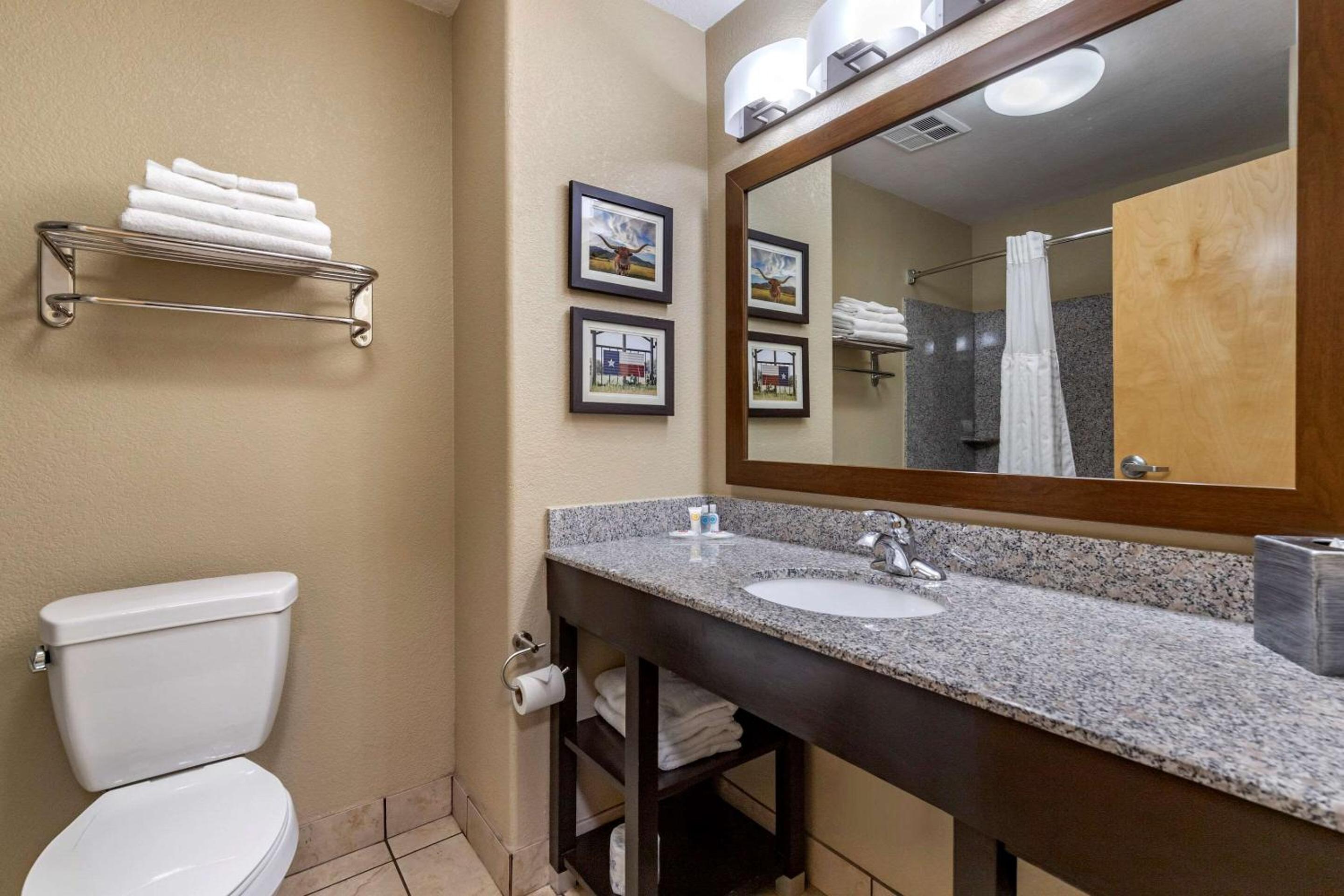 King Suite - Non-Smoking - Photo 7