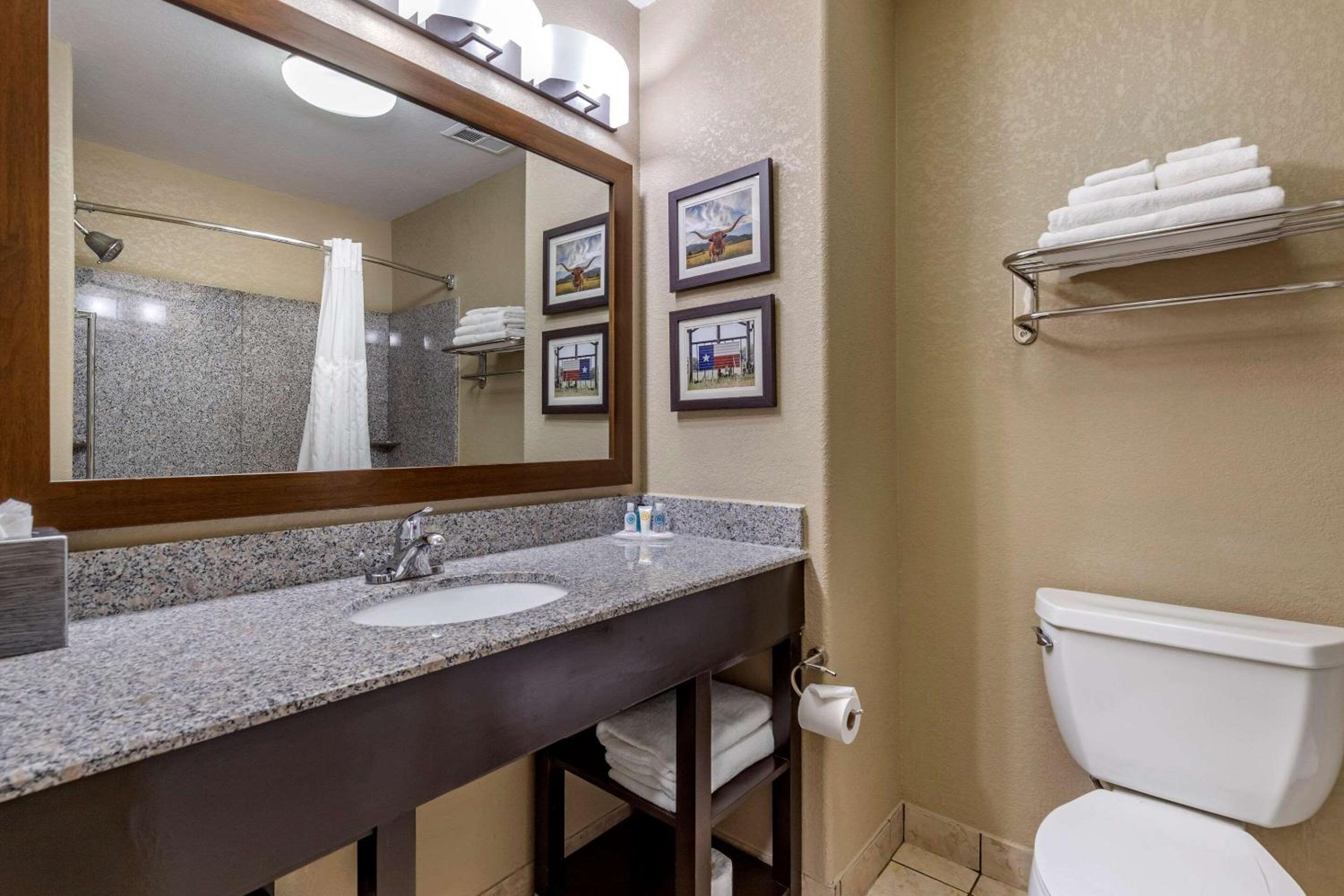 King Suite - Non-Smoking - Photo 3