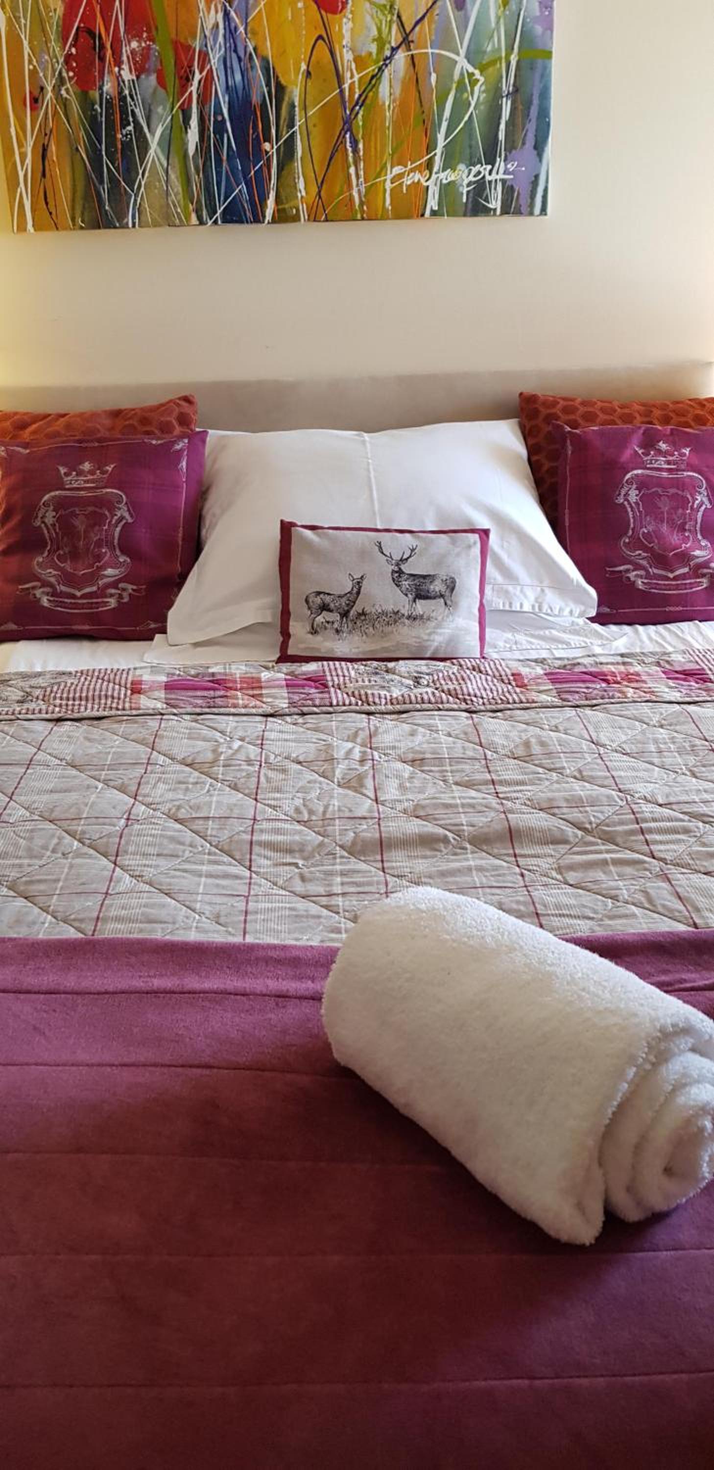 Single Room photo 3