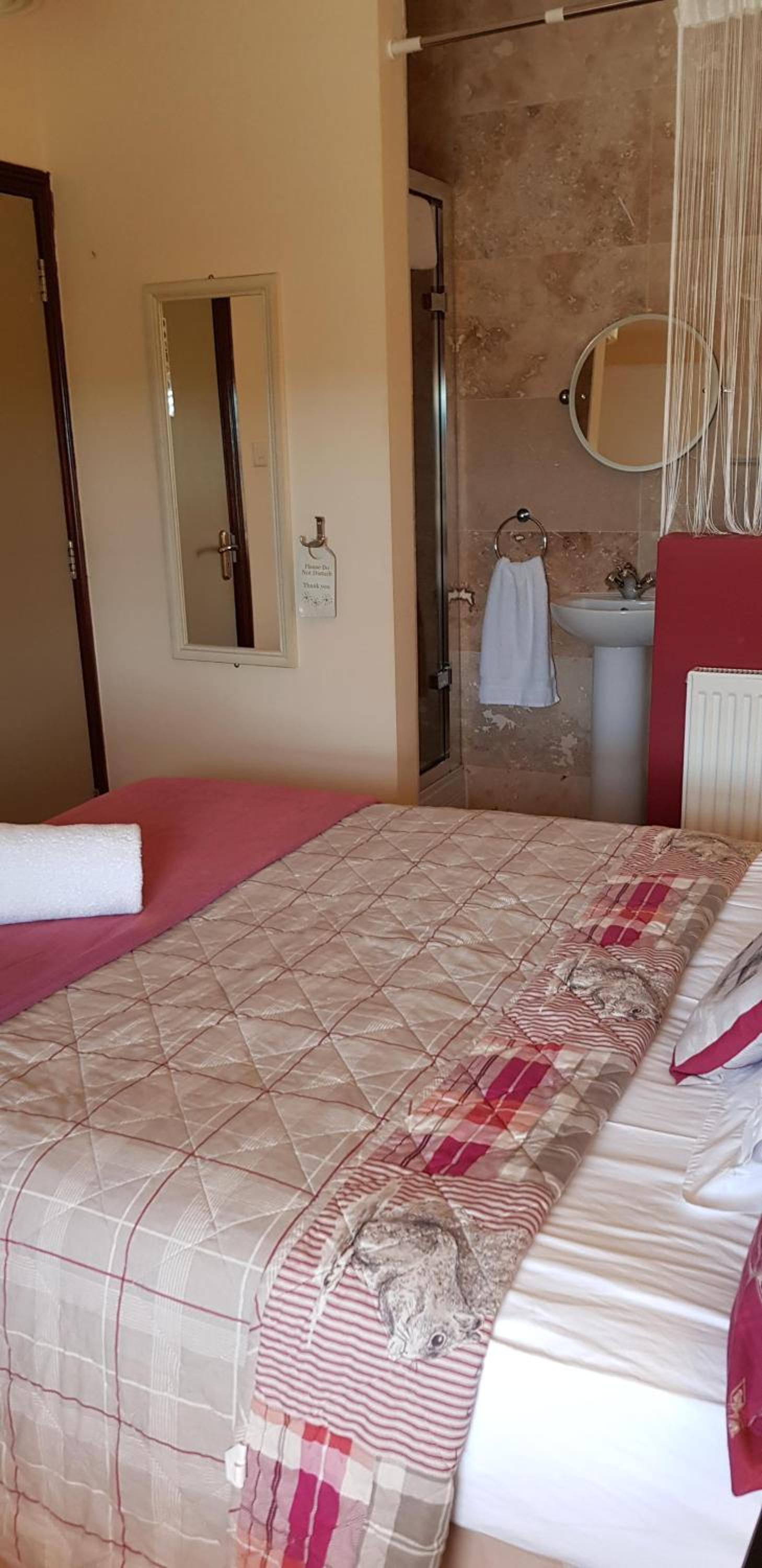 Single Room photo 2