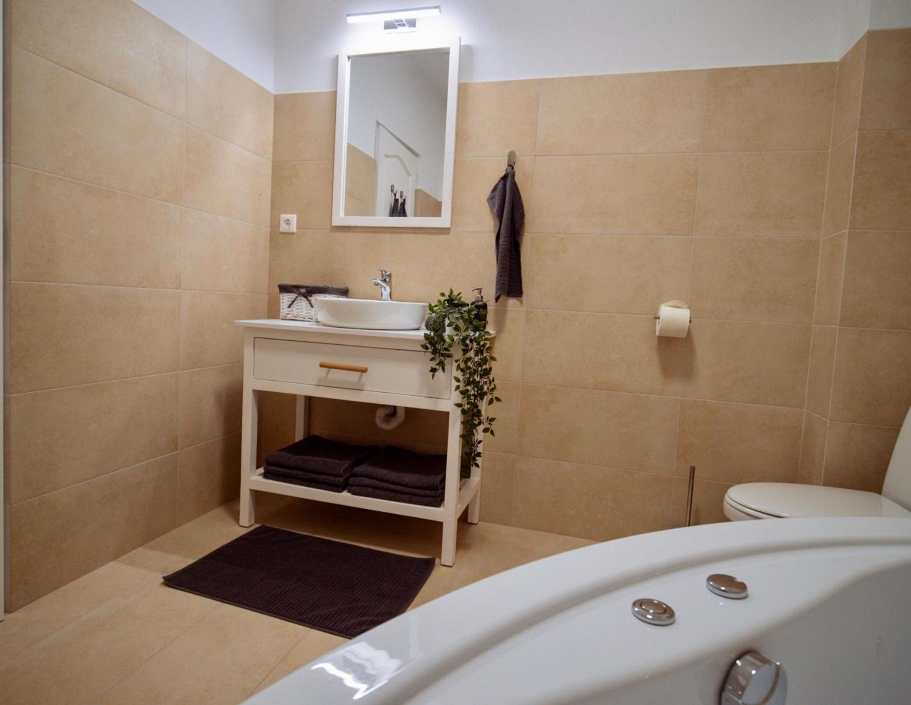 Superior Apartment - Photo 7