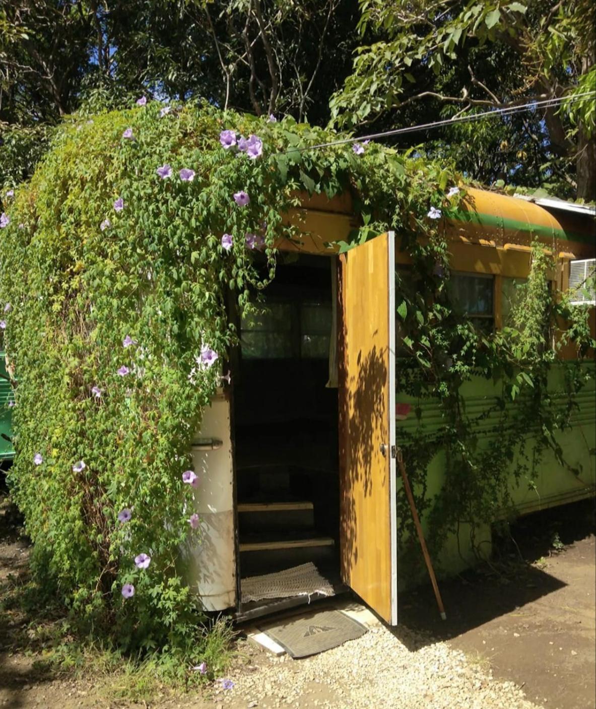Caravan photo 3