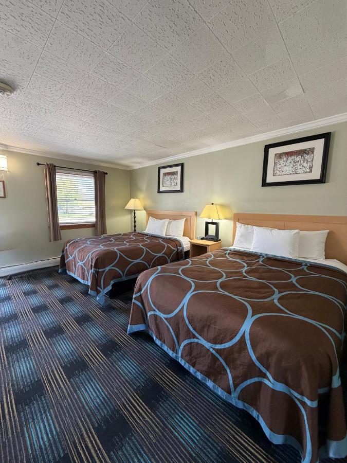 Standard room with 2 double beds