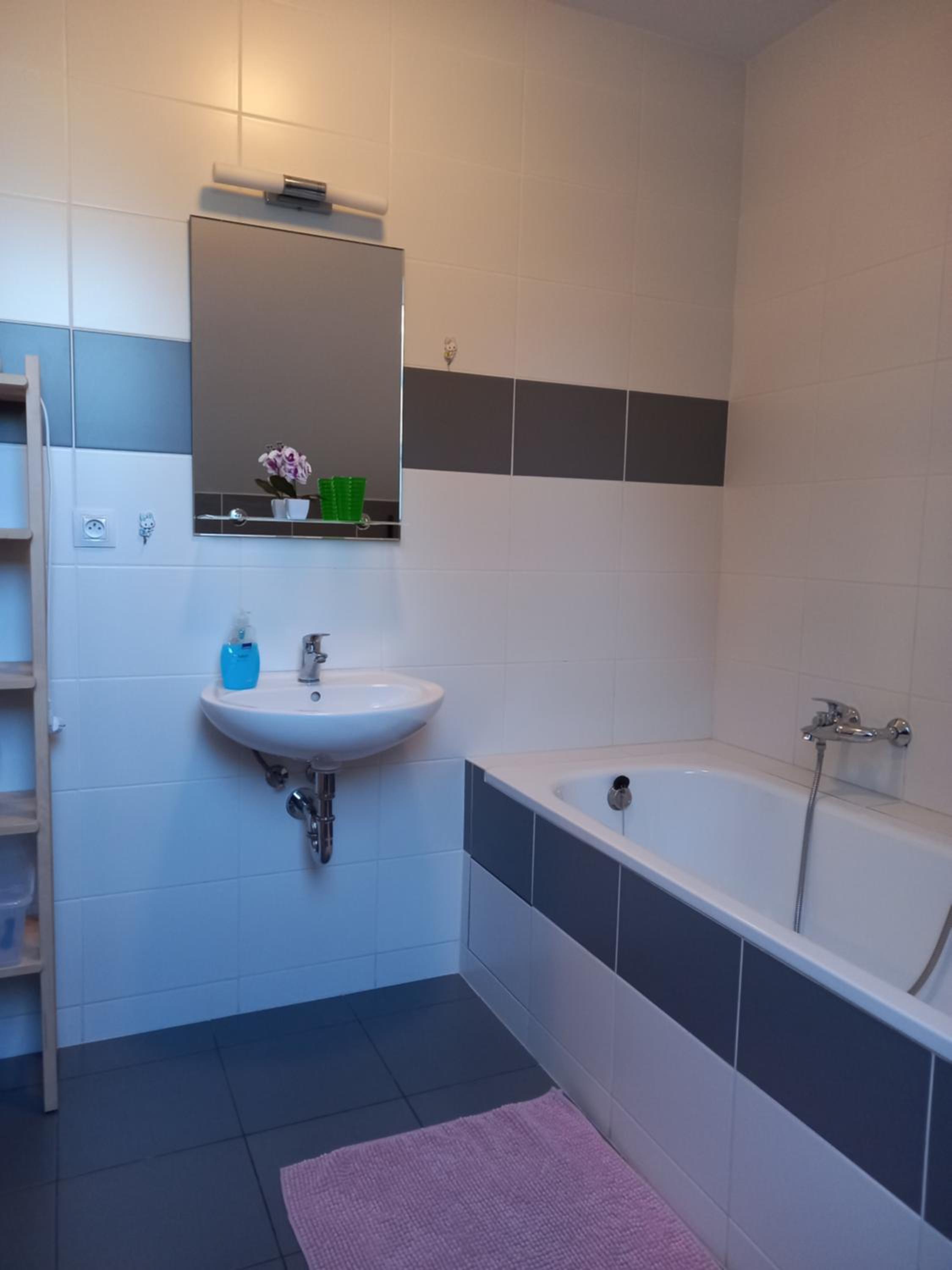 Standard Apartment photo 3
