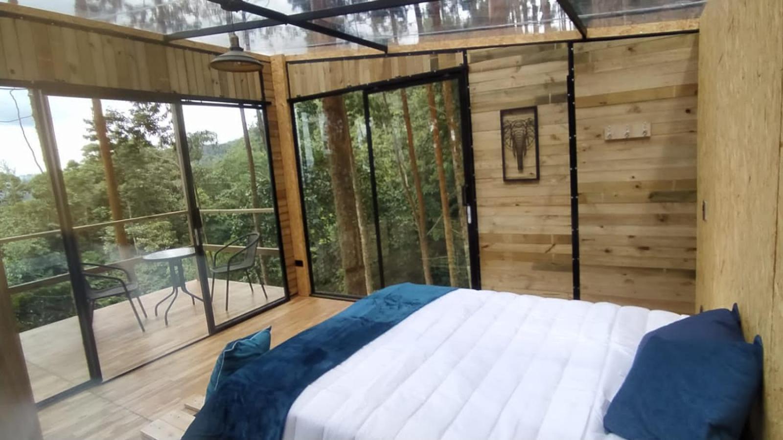 Double Room with Terrace photo 1