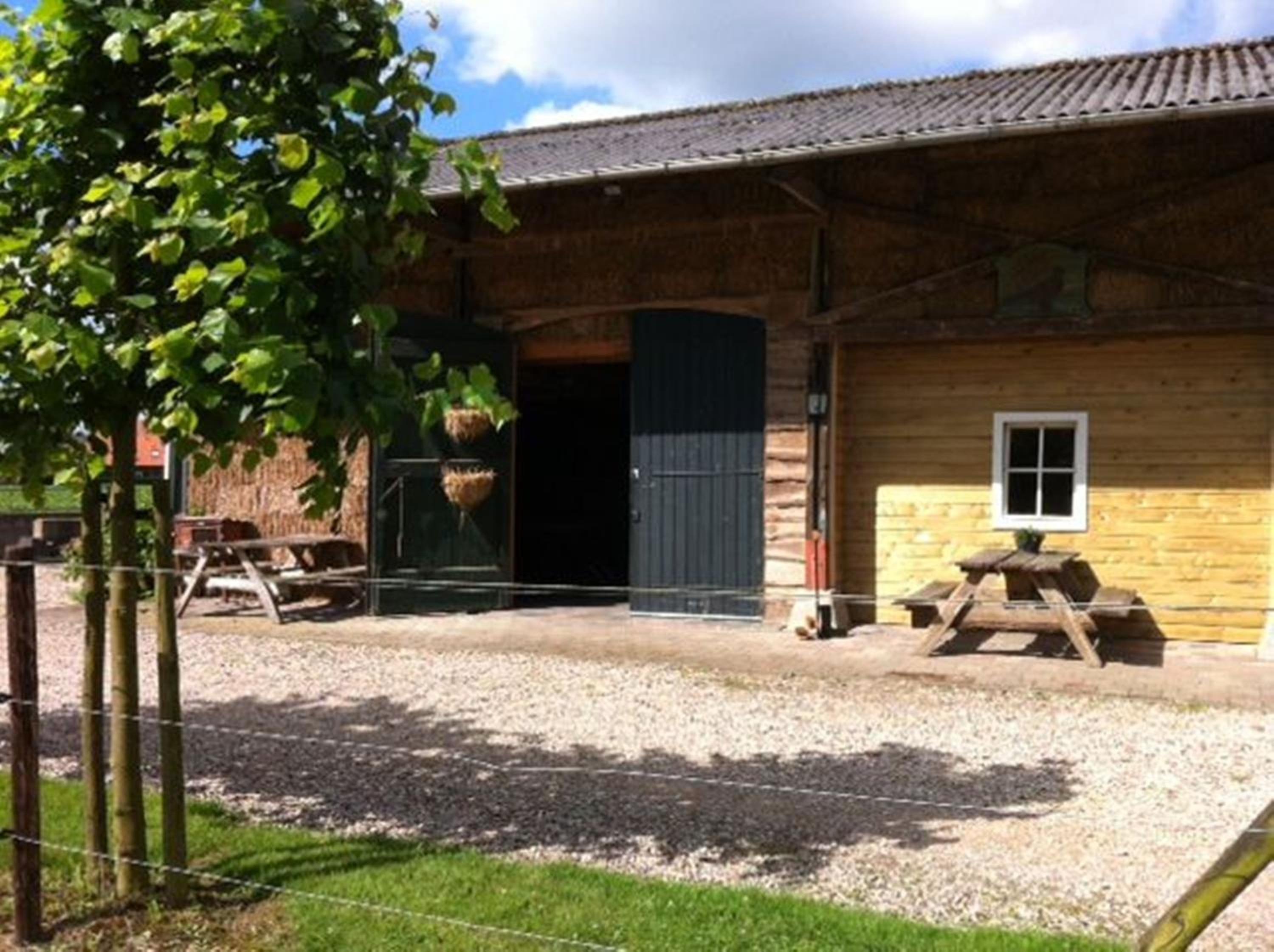 Chalet in het stro - Photo 10
