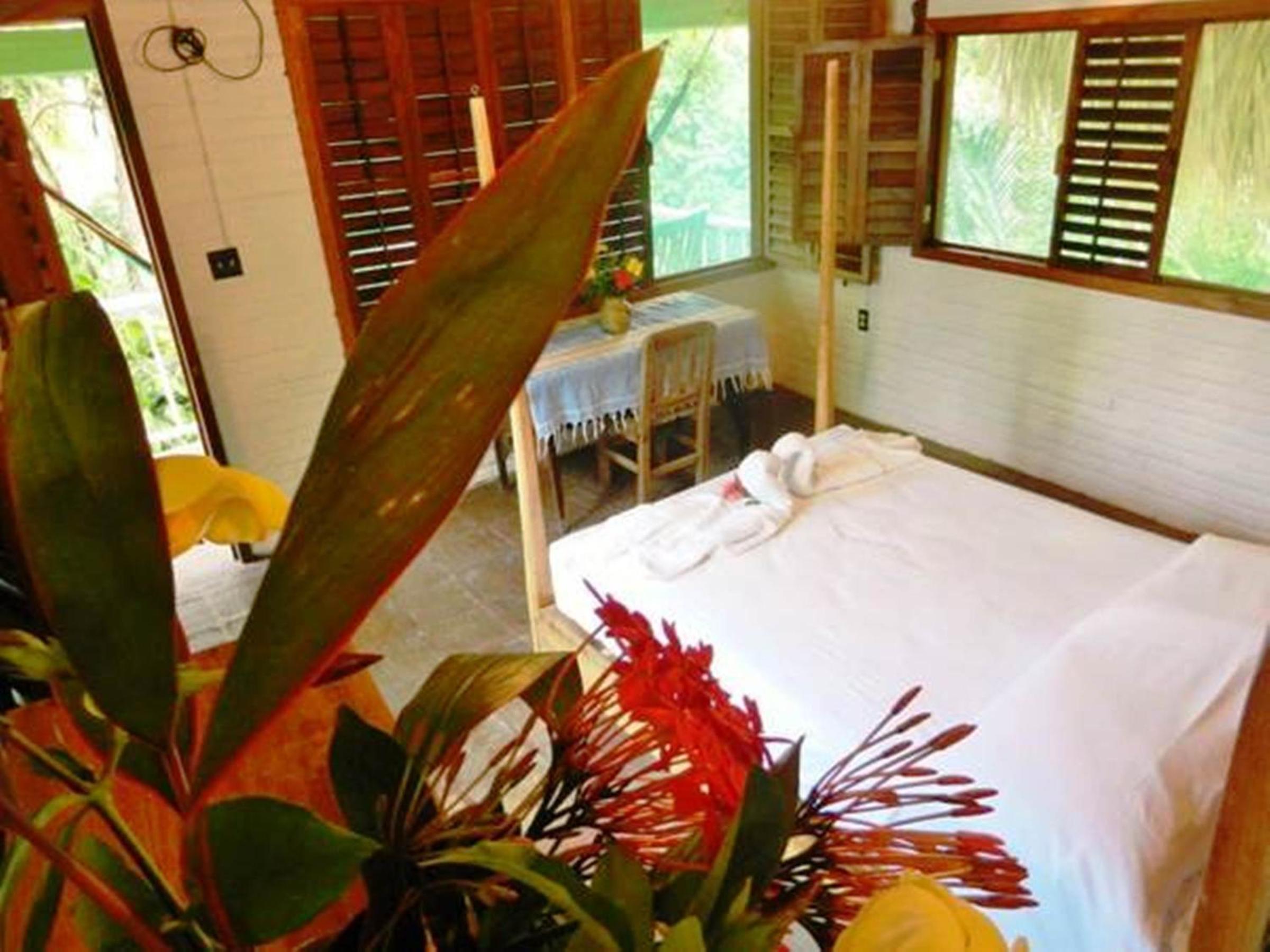 Twin Room photo 1