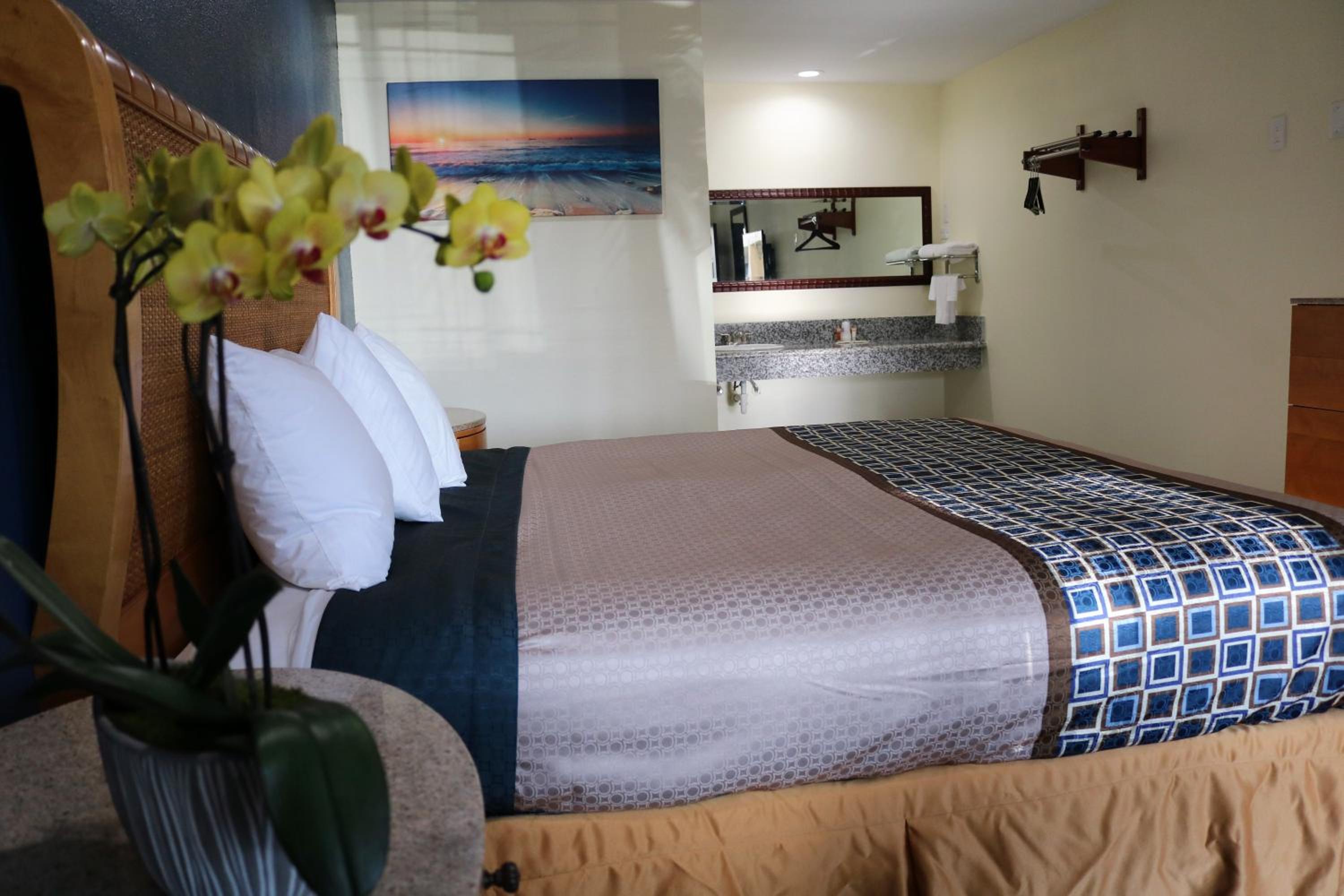 Deluxe King Room - Photo 5