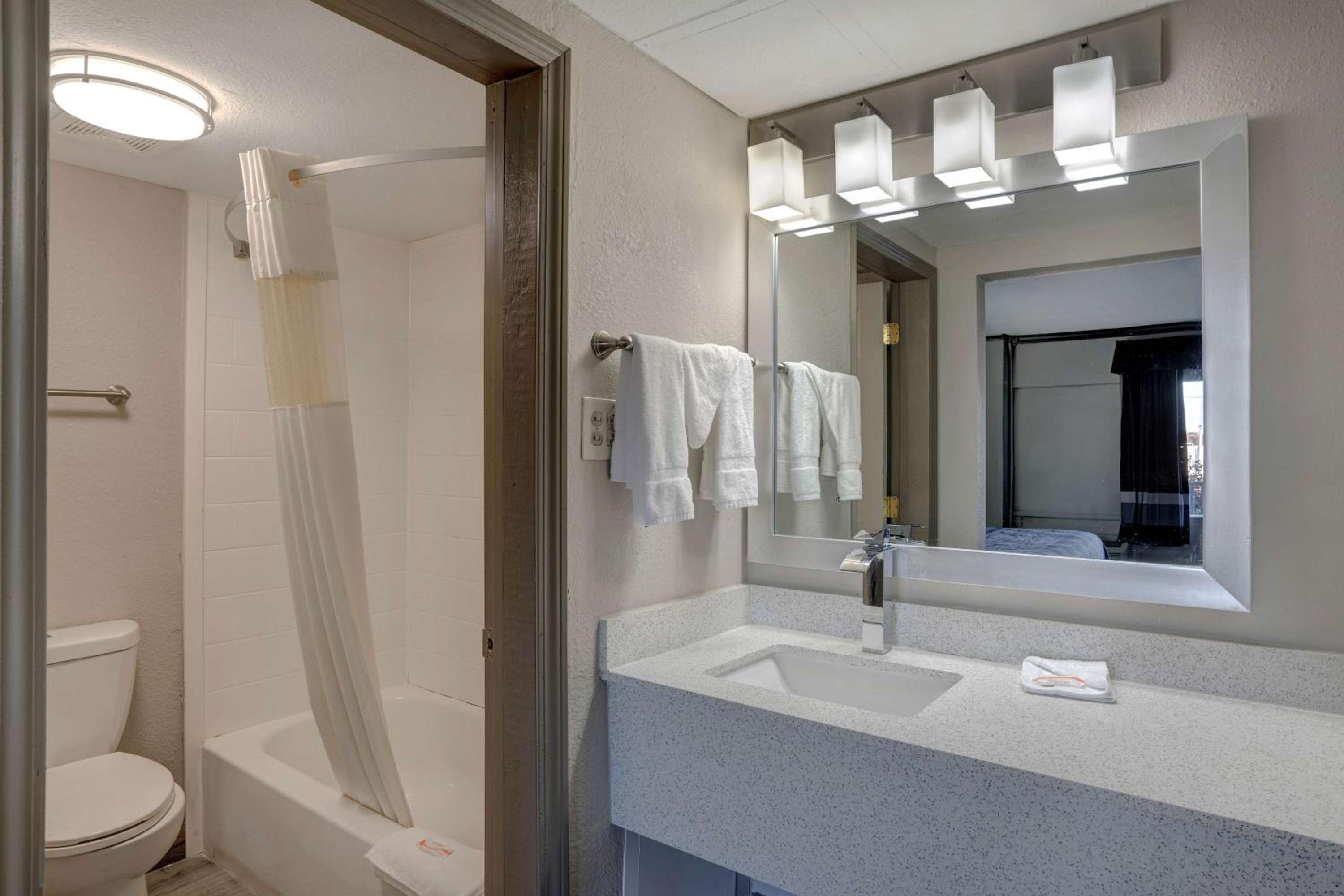 Standard Suite - Non-Smoking - Photo 4