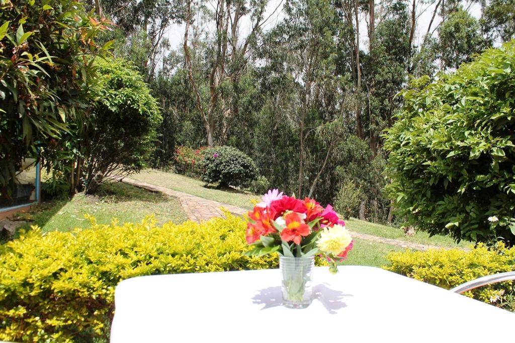 Double Room with Garden View photo 2