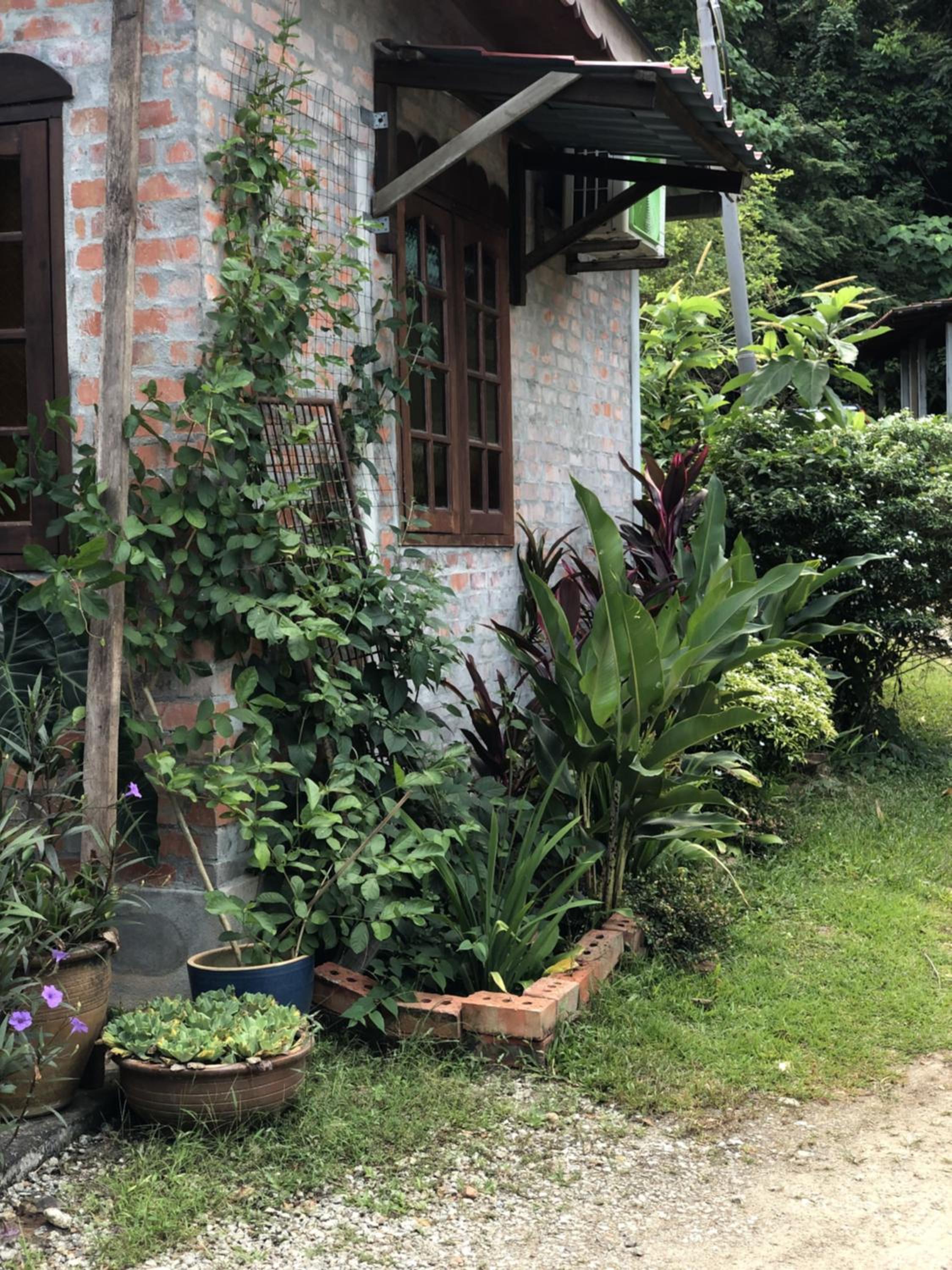 King Room with Garden View