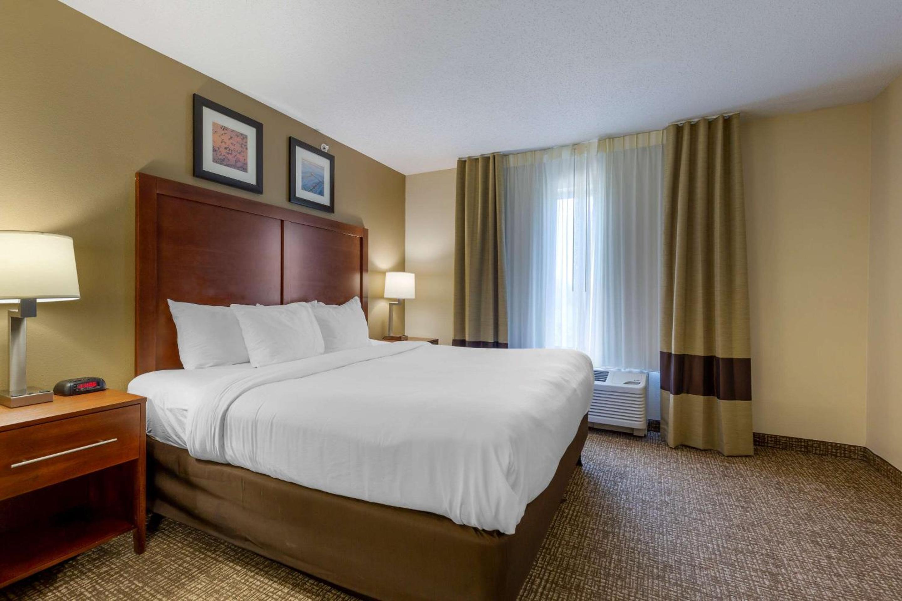 King Room - Non-Smoking - Photo 1