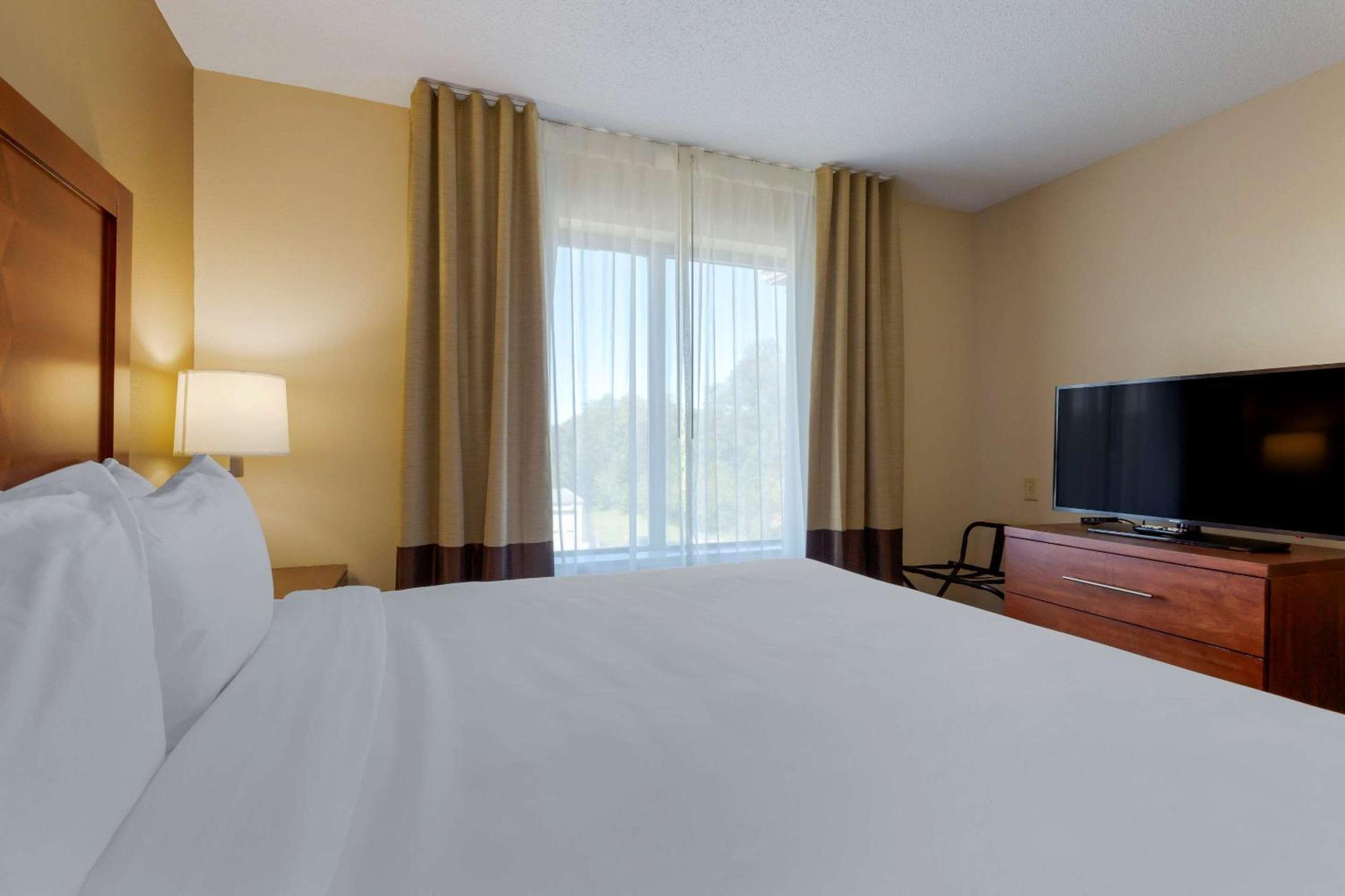 1 Room Suite, 1 King Bed, 2 Person Sofa Bed, Non-Smoking - Photo 2