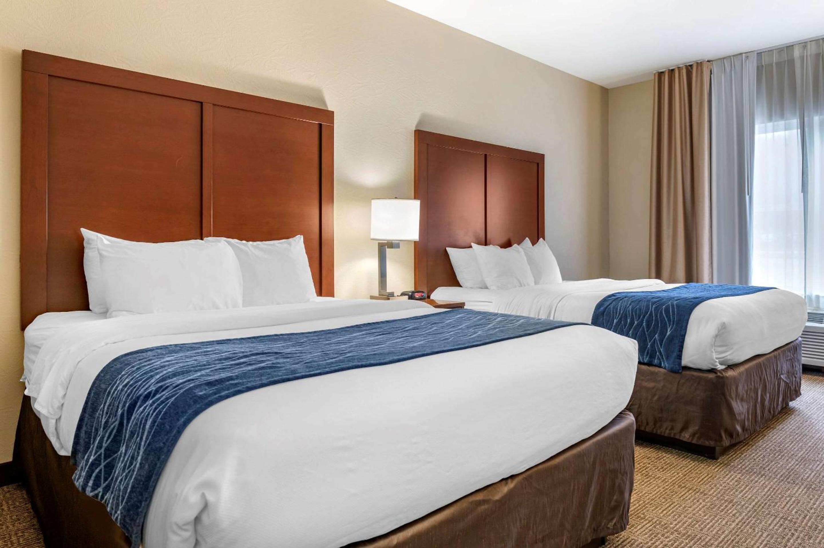 Queen Room with Two Queen Beds - Photo 4