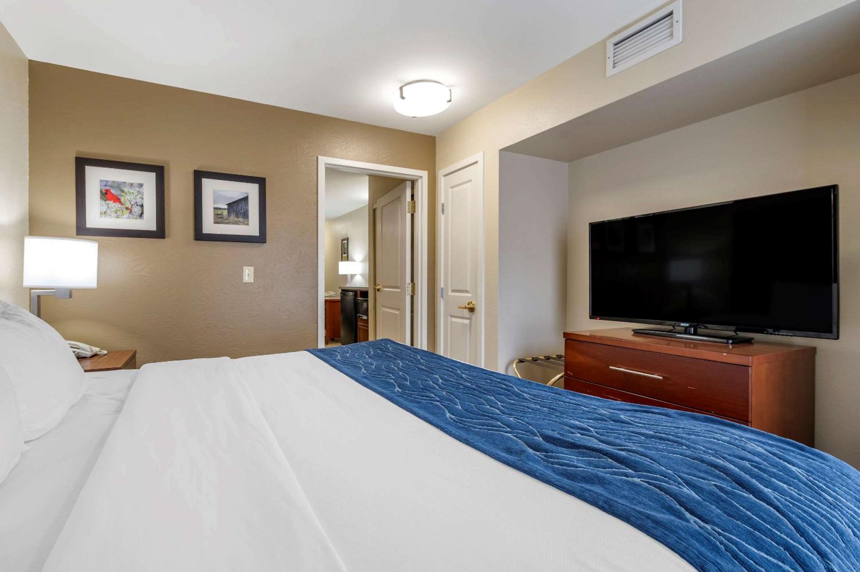 King Suite with Sofa Bed - Photo 4