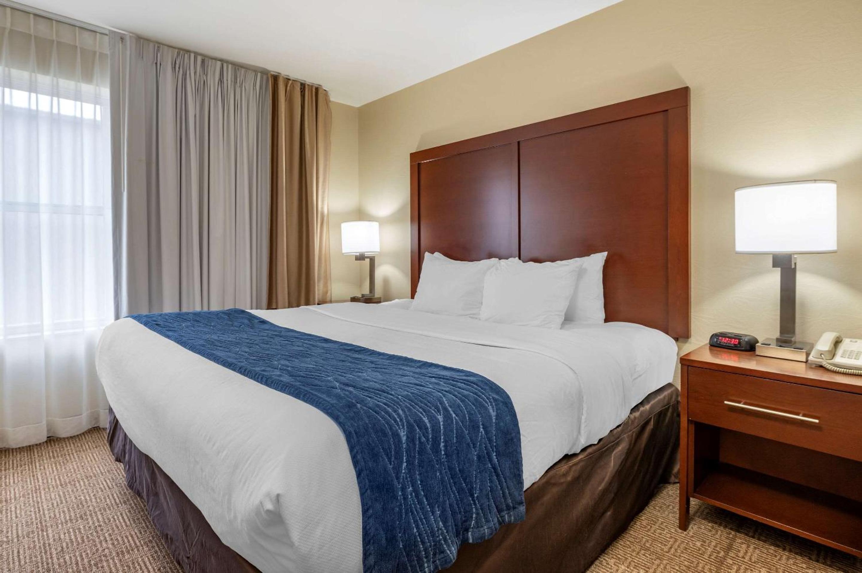 King Suite with Sofa Bed - Photo 5
